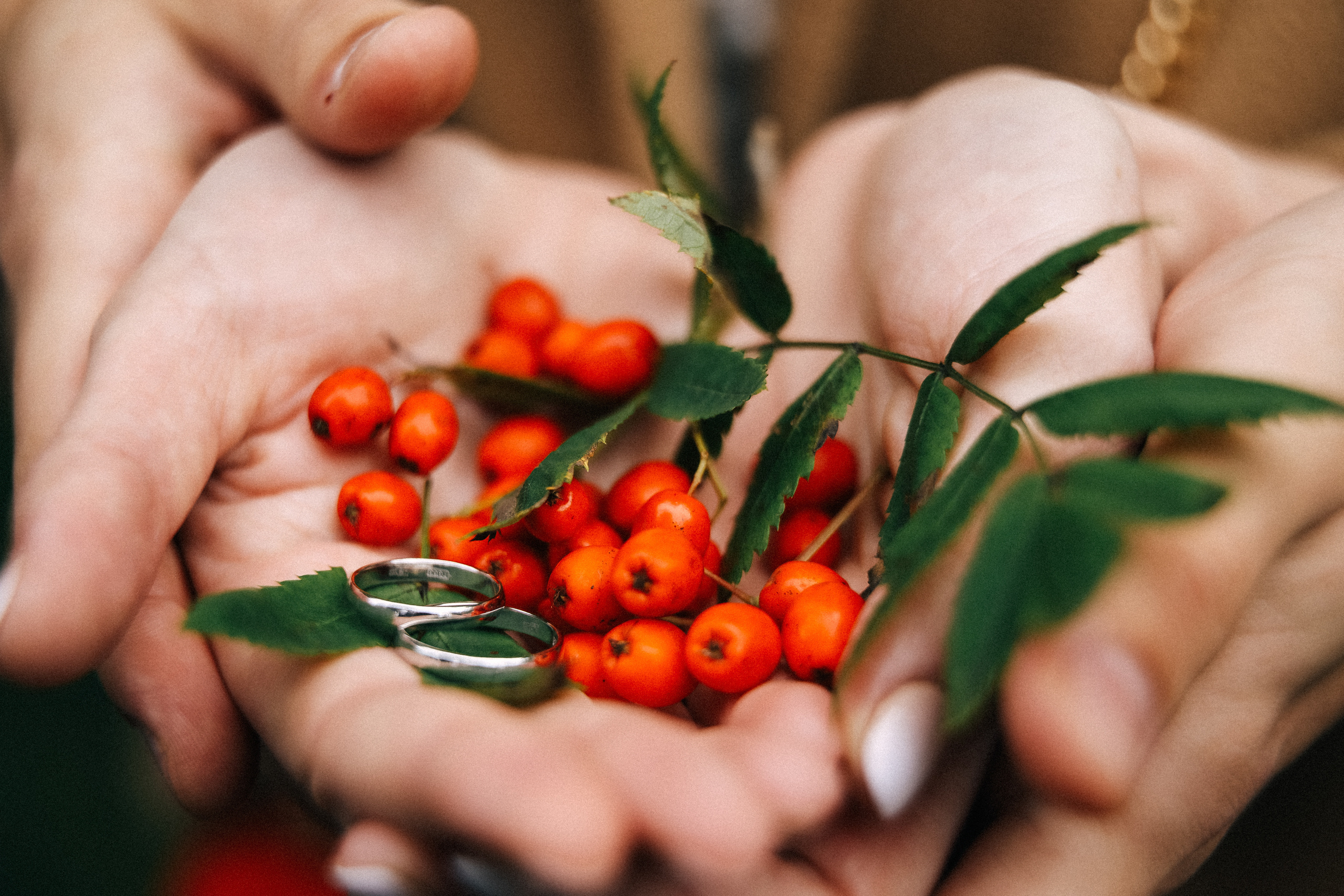 Светлана и Илья-2017. Свадебный и семейный Фотограф Денис Кошель