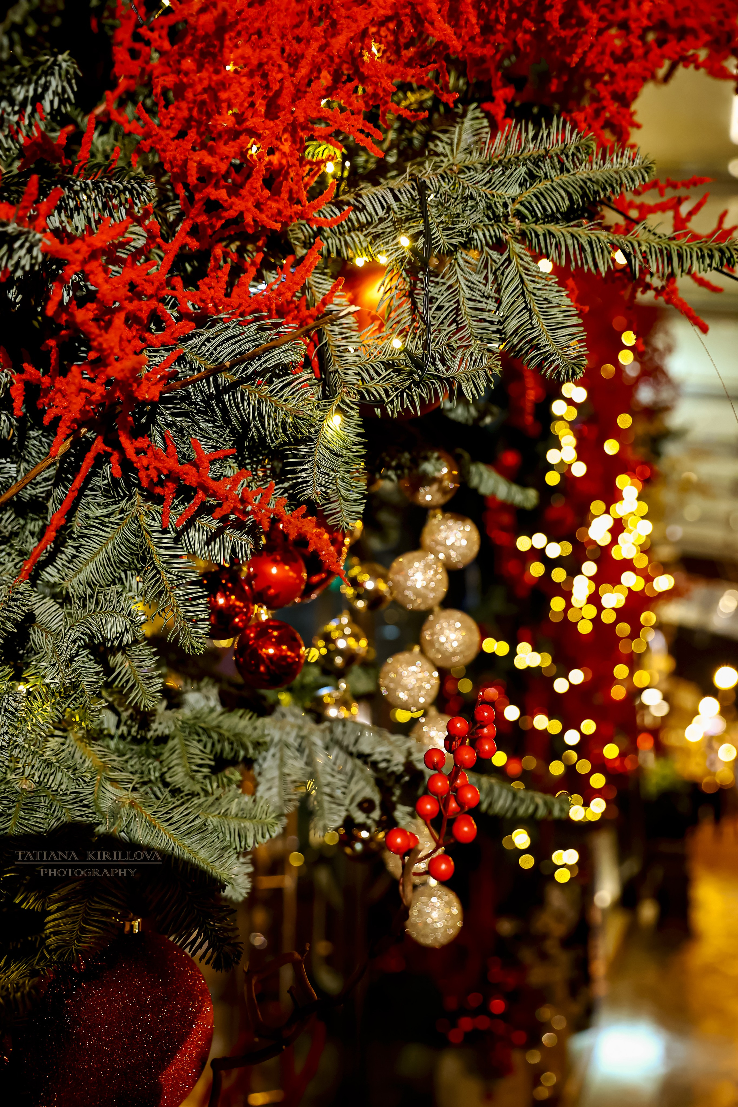 Праздничный город. Фотограф — Татьяна Кириллова, г. Санкт-Петербург
