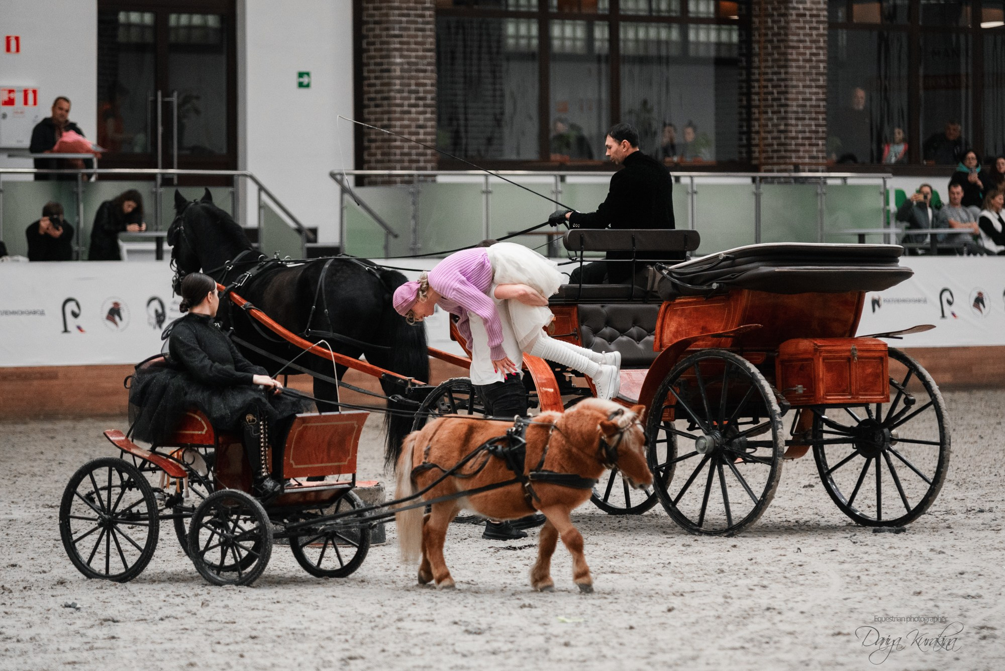 8-я международная выставка Конная Россия. Конный фотограф Куракина Дарья • Фотосессии с лошадьми