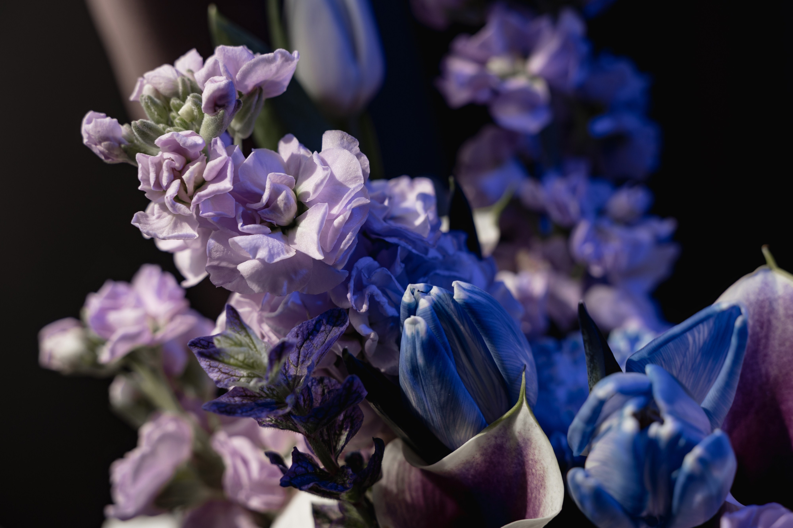 Свадьба в стиле космос. Свадебный фотограф в Новосибирске Алена Цизман