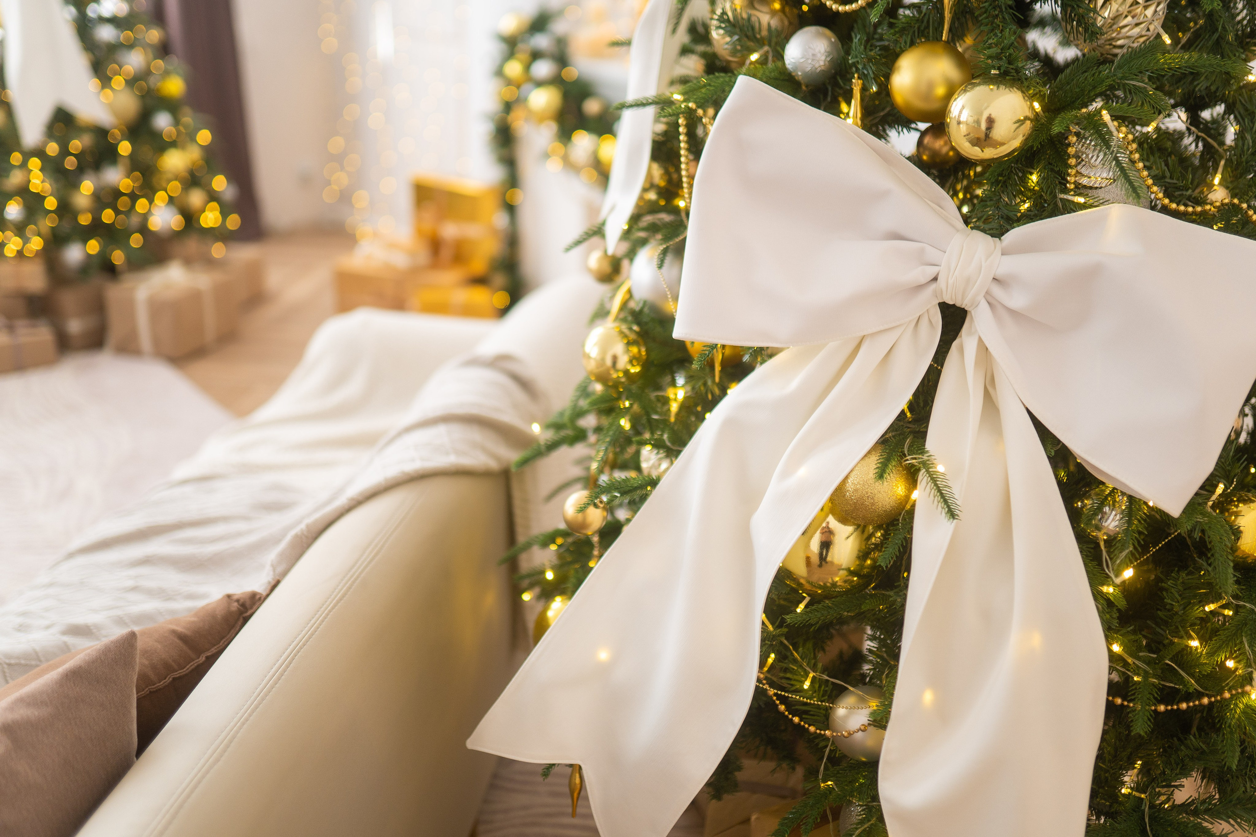 Зал Белый. Фотограф г. Хабаровск. Семейные и индивидуальные съёмки