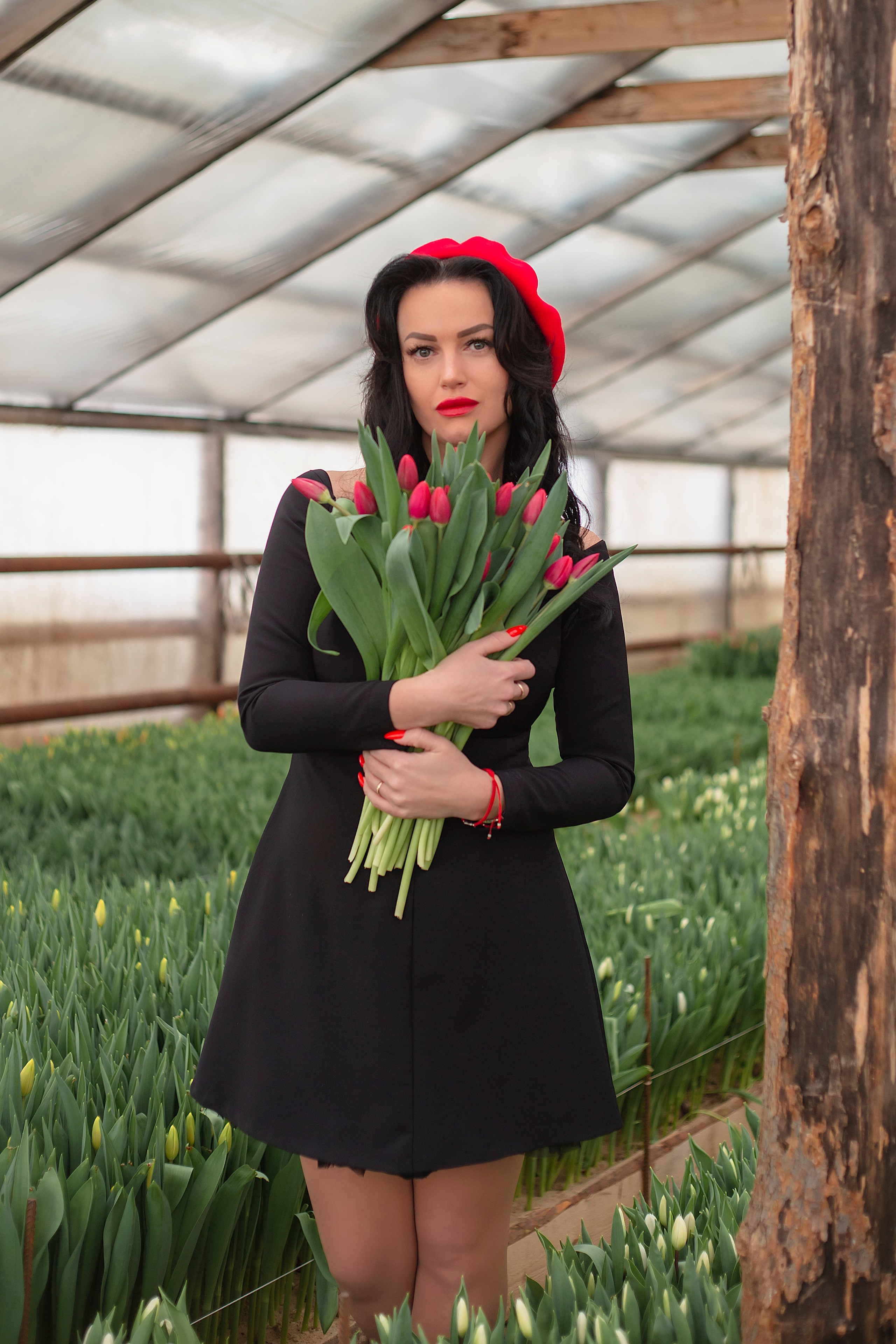 Фотодень в теплице с тюльпанами. Фотограф Ольга Бобб Нижний Новгород