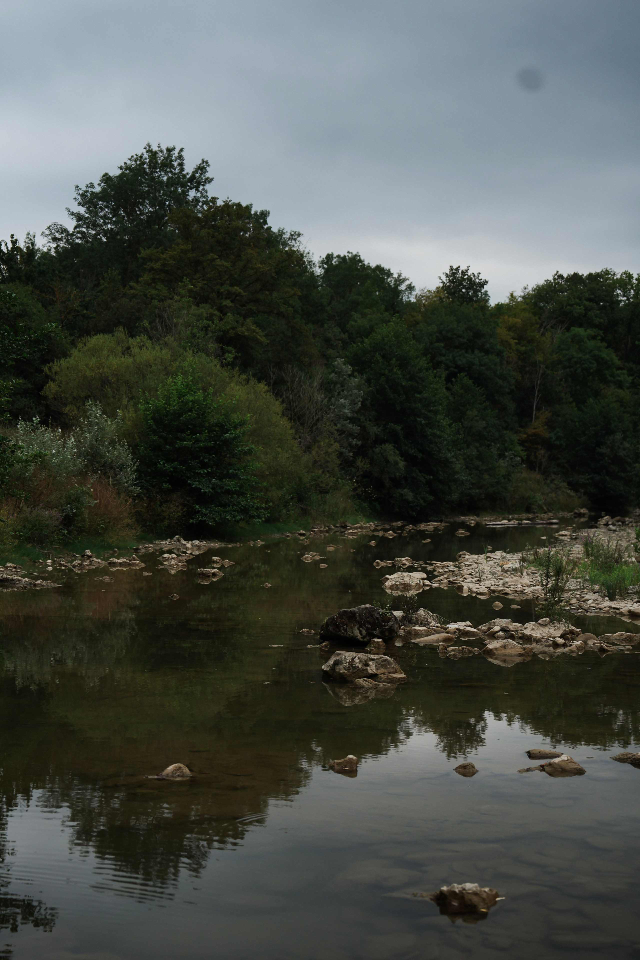 Инна в лесу. Фотограф с психологическим образованием
