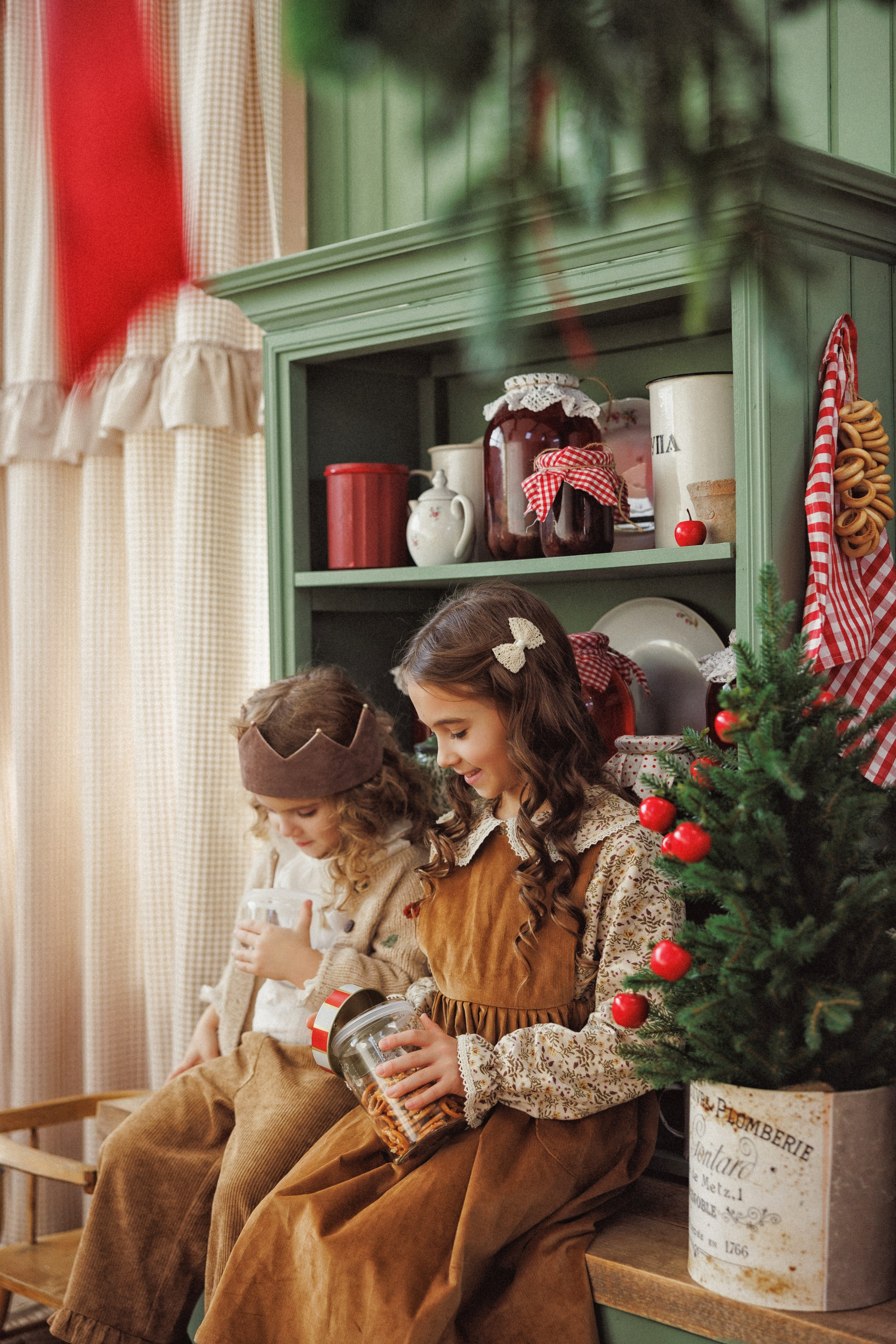 Новогодняя фотосессия с собачками породы Корги, город Краснодар. Семейный и детский фотограф в Краснодаре Анна Трашкова