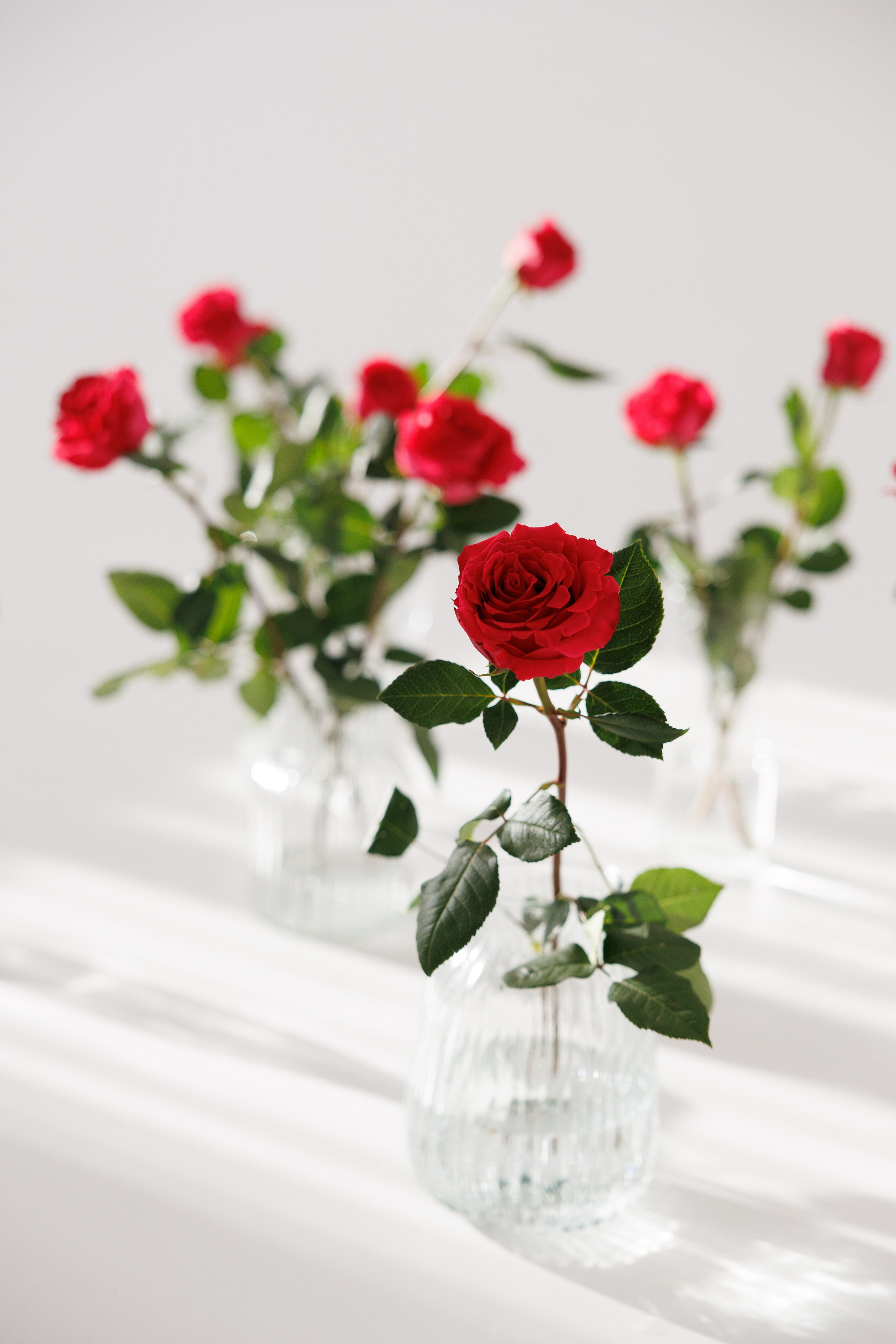 Цветочная съёмка с Юлией. Свадебный и портретный фотограф в Миассе Филиппенко Дарья