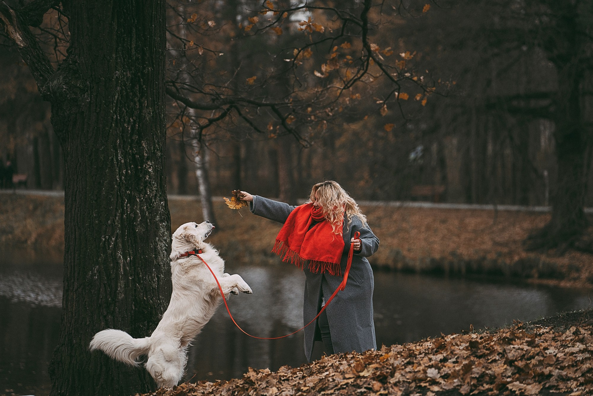 Лена и Мерлин. Фотограф анималист в Москве и Санкт-Петербурге Свиридова Анна