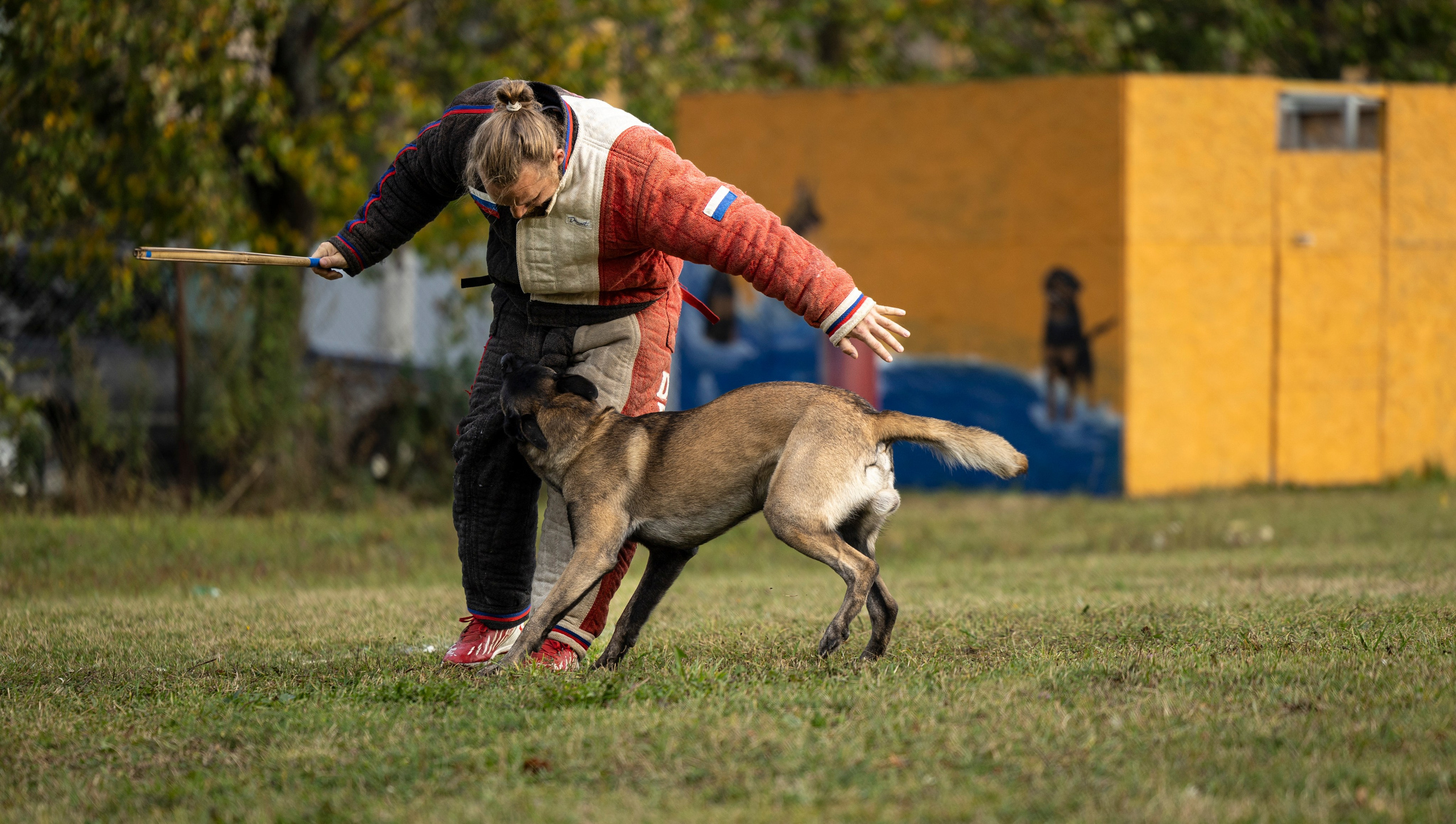 Испытания по Мондьорингу г. Пушкин. Фотограф-анималист Анна Маринич