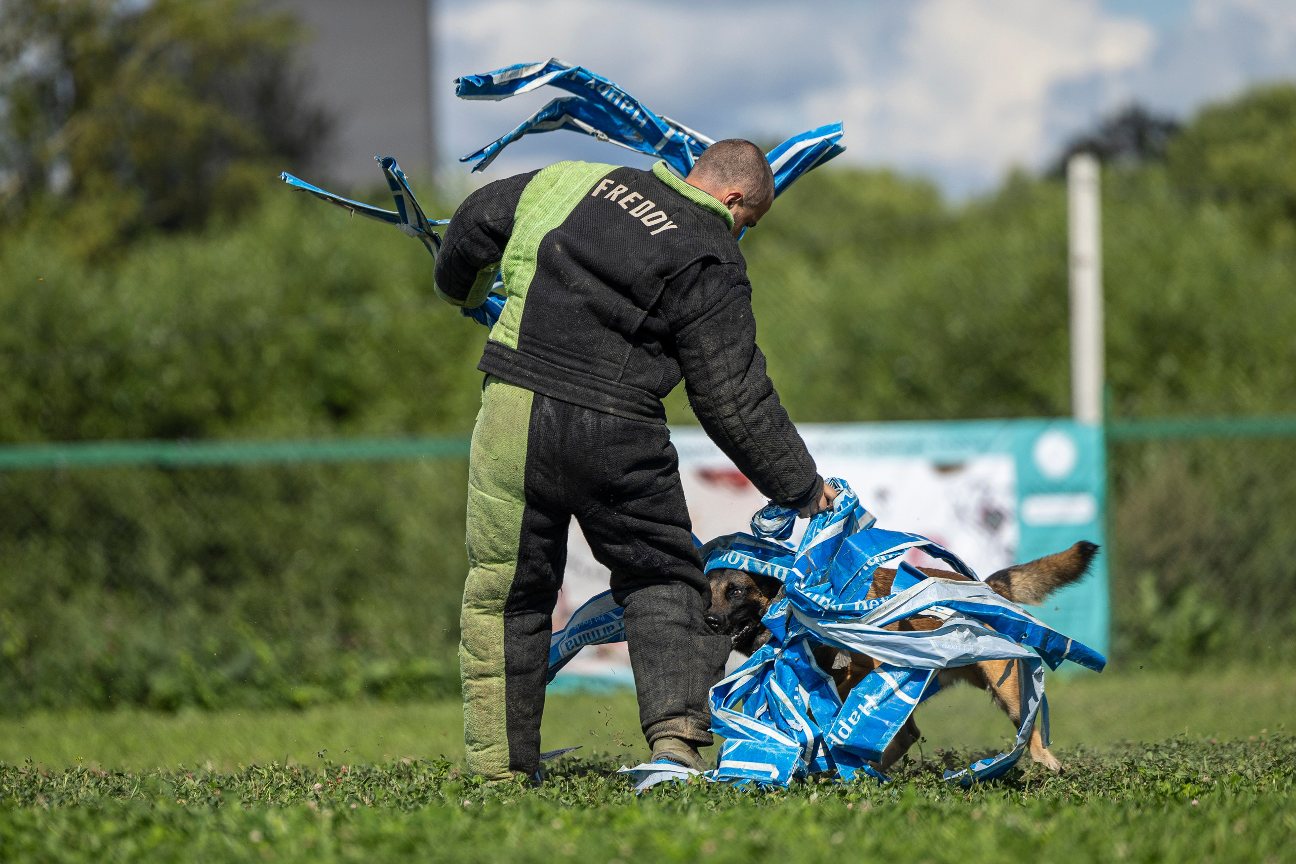 Соревнования по Мондьорингу г. Вологда 10-11.08.2024. Фотограф-анималист Анна Маринич