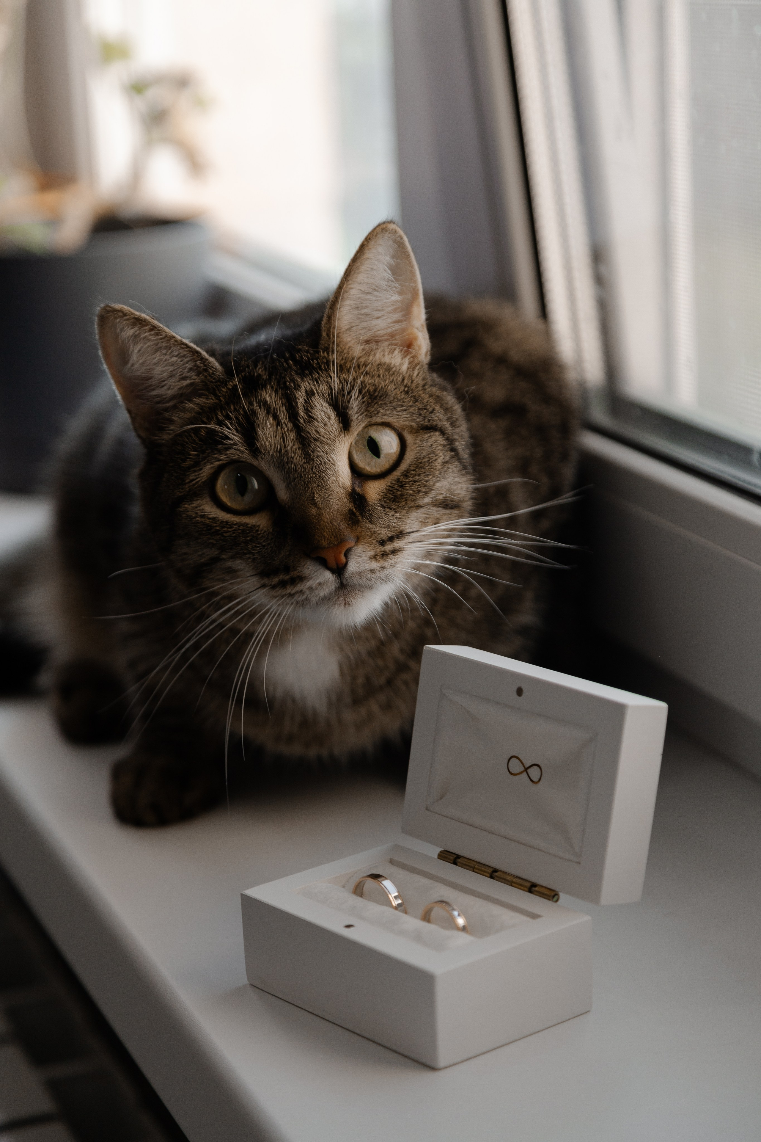 Андрей и Анна. Орнштейн Полина I Фотограф Самара