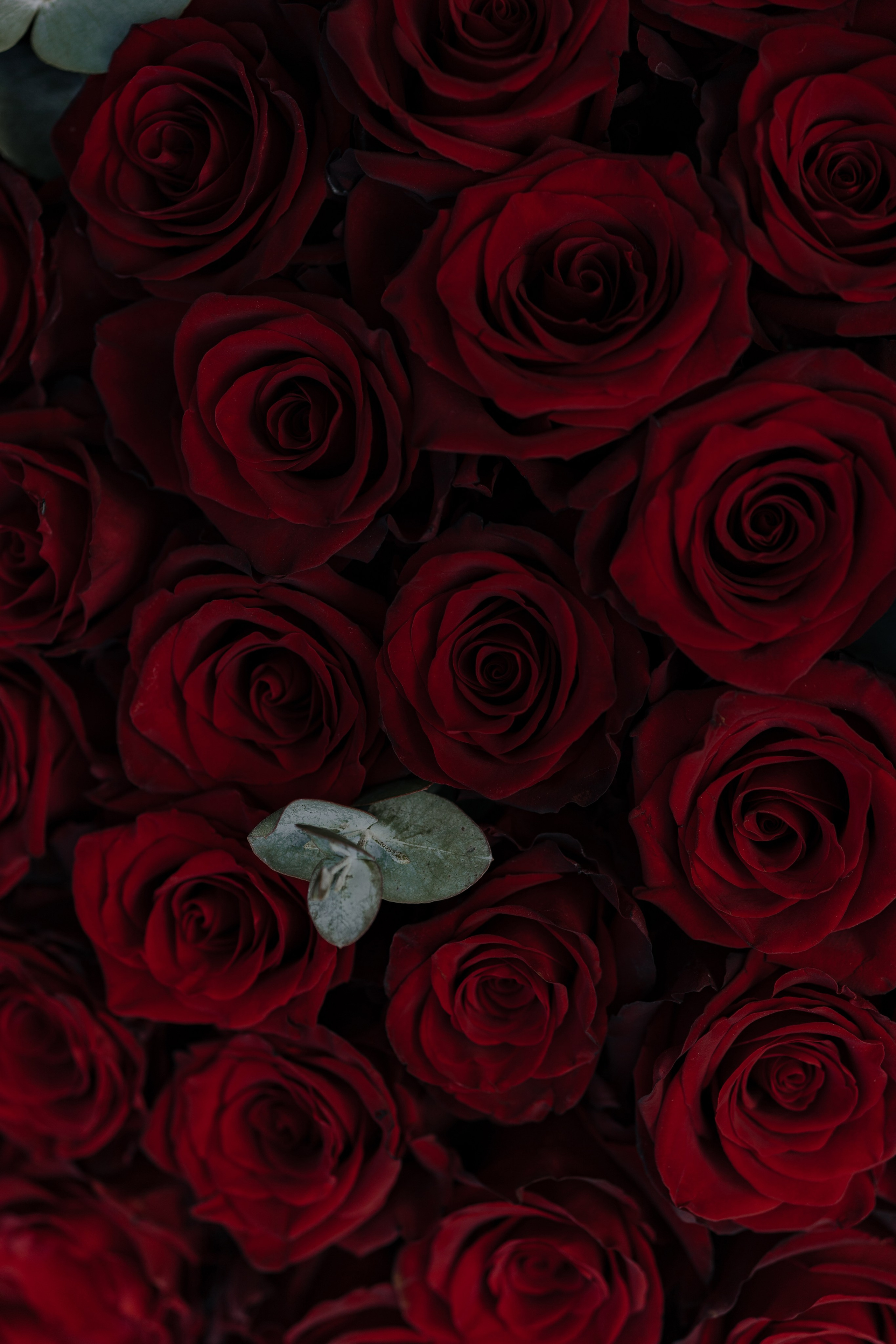 24.08.2024. RETOUCH-HOUSE