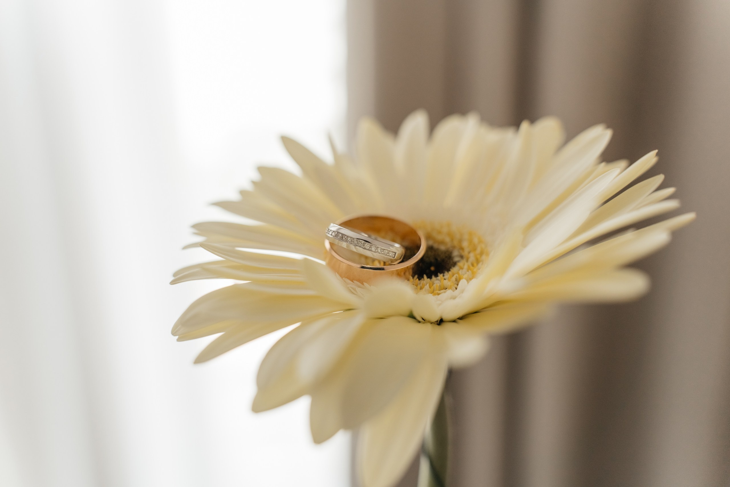 Никита и Нэсти. Алёна Наумова — профессиональный организатор свадеб и мероприятий в Краснодарском крае и на побережье