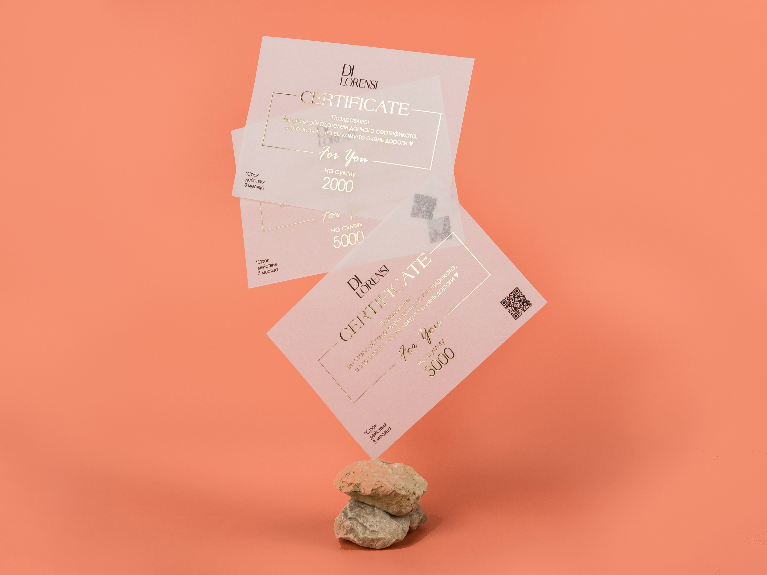 Типография Алес. Предметный и семейный фотограф в Санкт-Петербурге Катерина Стеклова