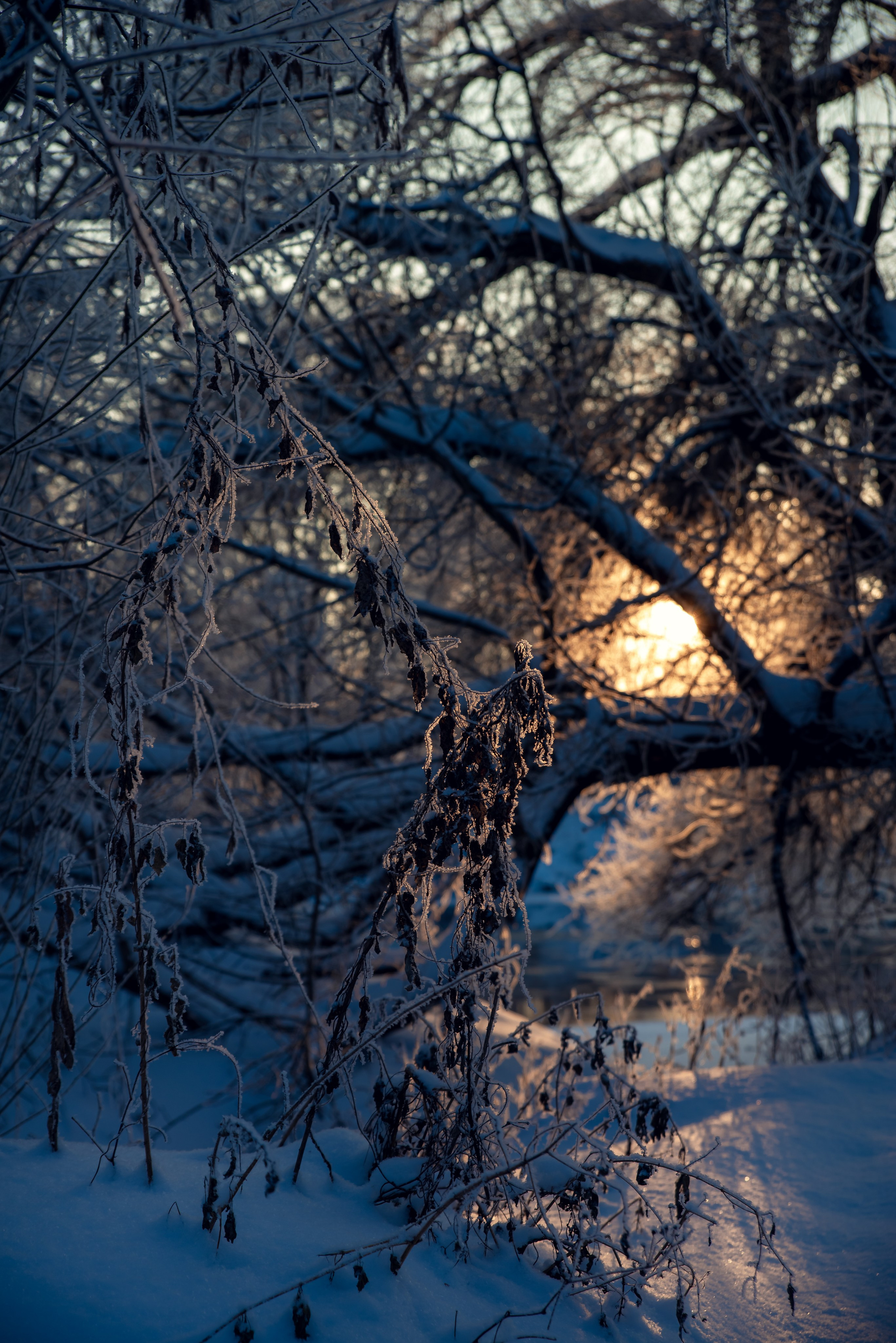 Зимушка зима. Фотограф Крещение Венчание Москва