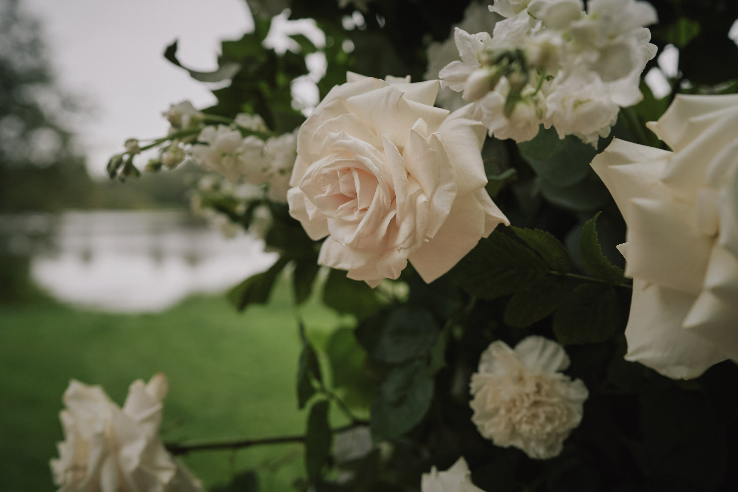 Маша и Саша. Фотограф в Санкт-Петербурге | Аня Маленчук