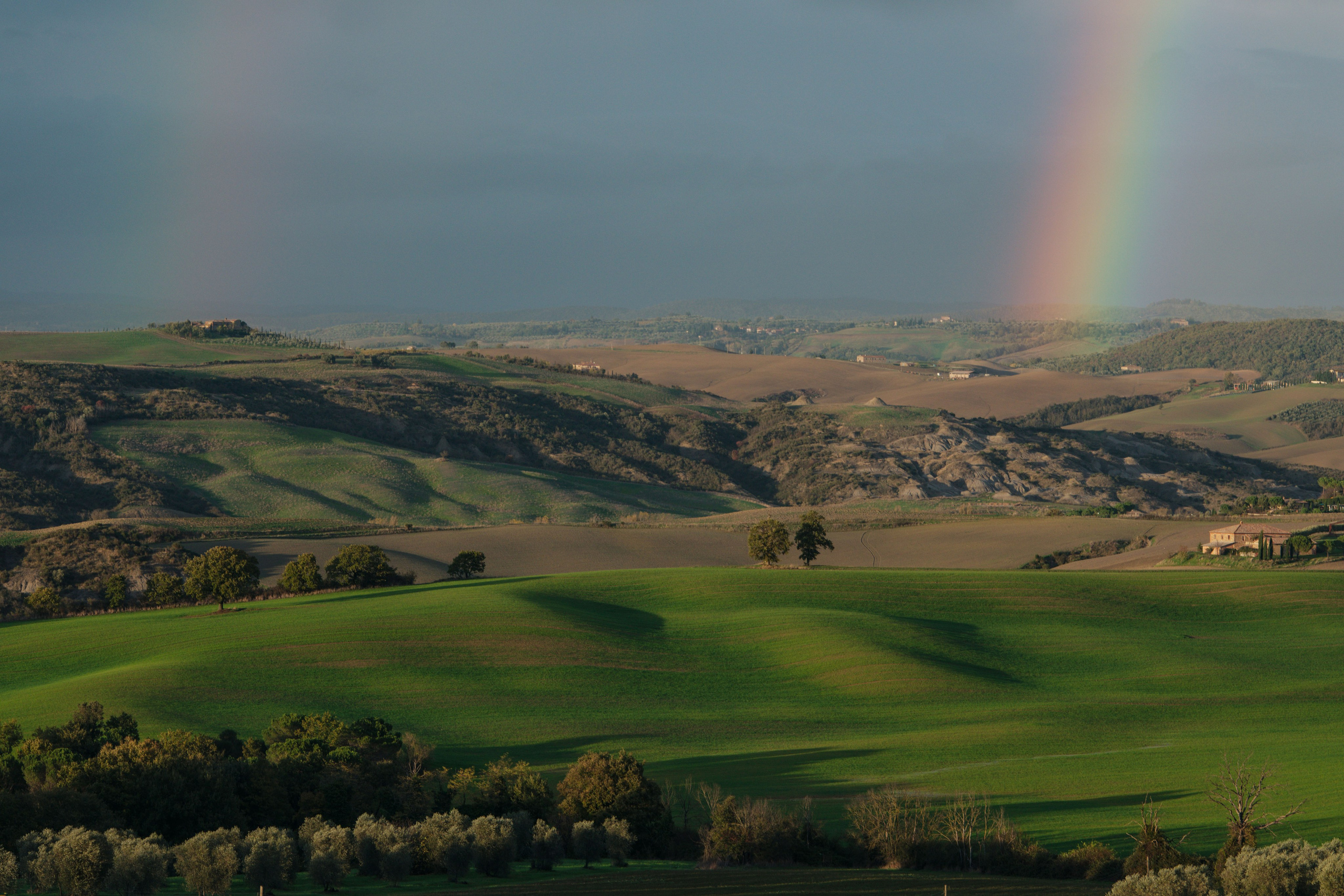 Живописный пейзаж Тосканы в мягком свете: волнистые зеленые холмы и поля, изрезанные глубокими тенями от облаков, на переднем плане оливковые деревья и редкие кипарисы, атмосфера спокойствия и простора.