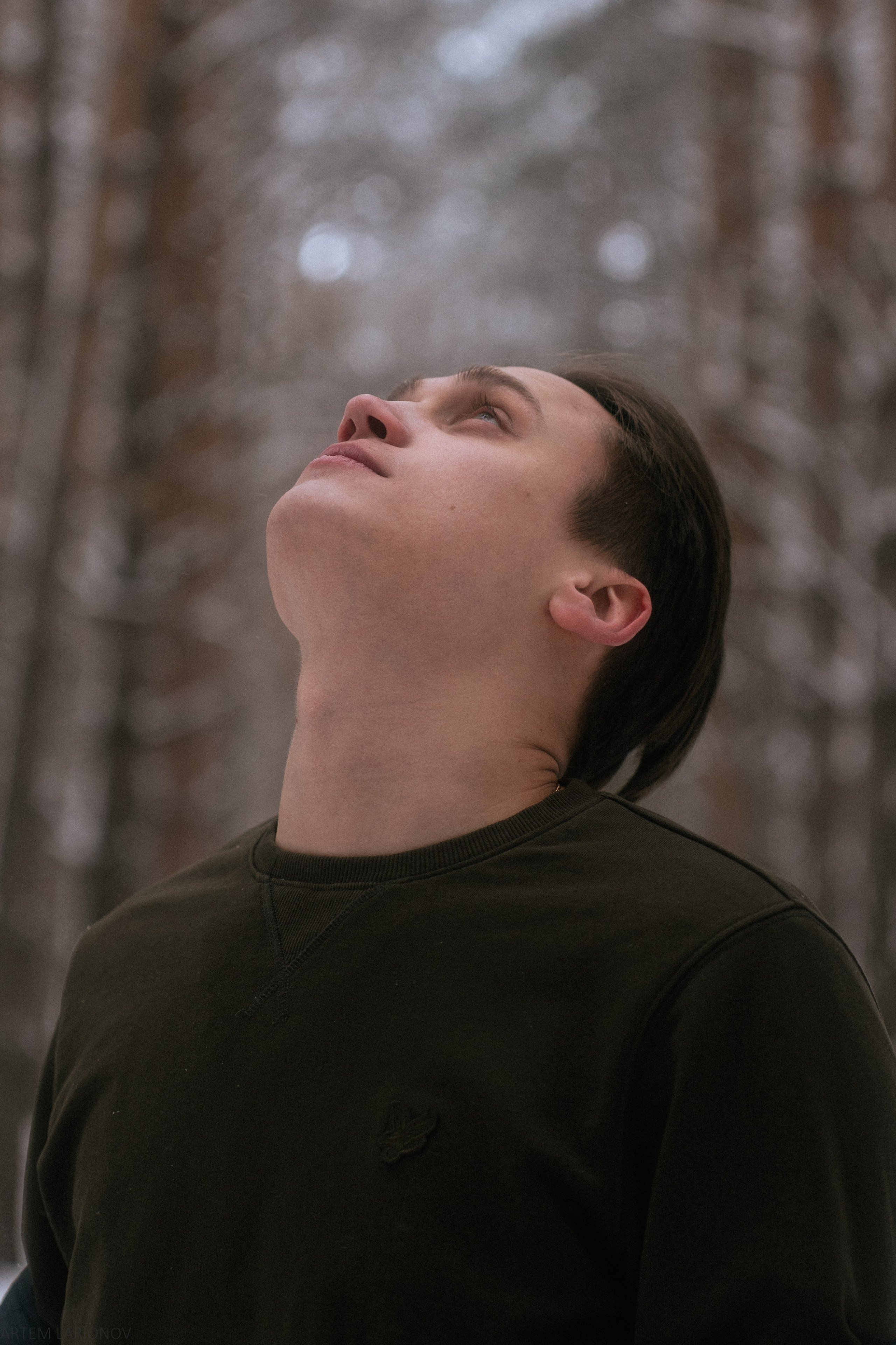 Снежный лес. Фотограф Артем Ларионов