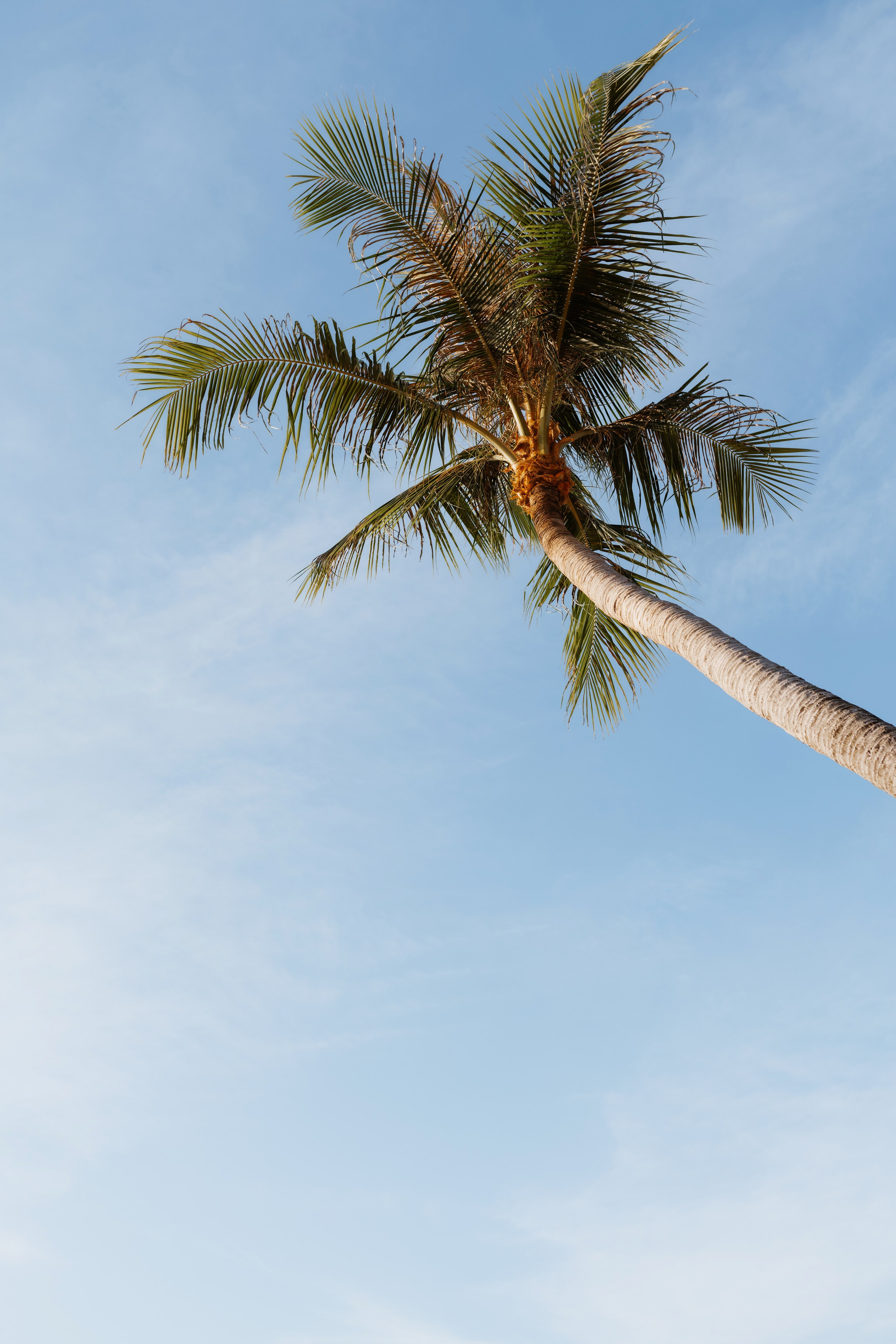 Персональная съемка. Даша Мерц | ФОТОГРАФ МОСКВА