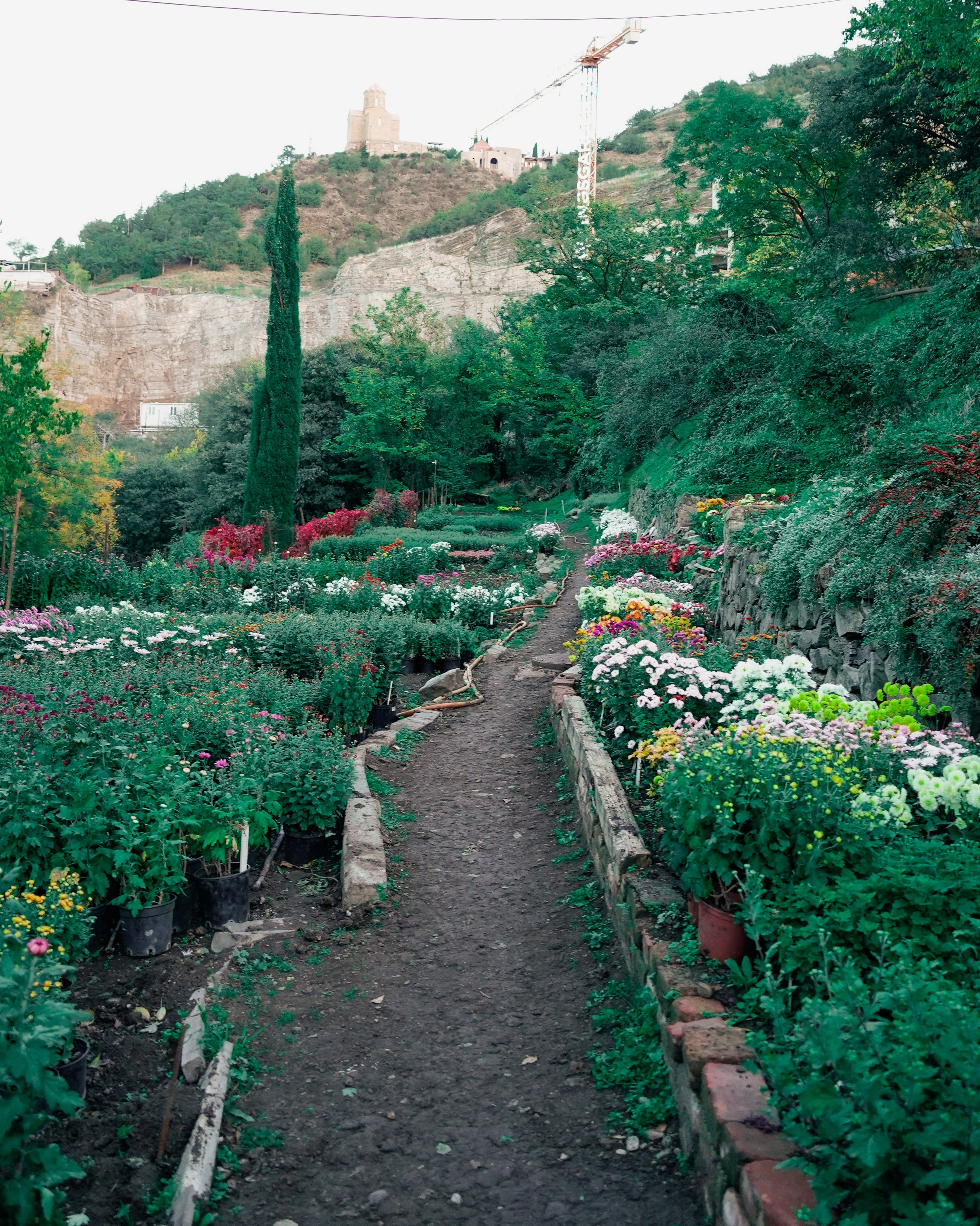СЕРГЕЙ | БОТАНИЧЕСКИЙ САД ТБИЛИСИ. Photographer Barcelona