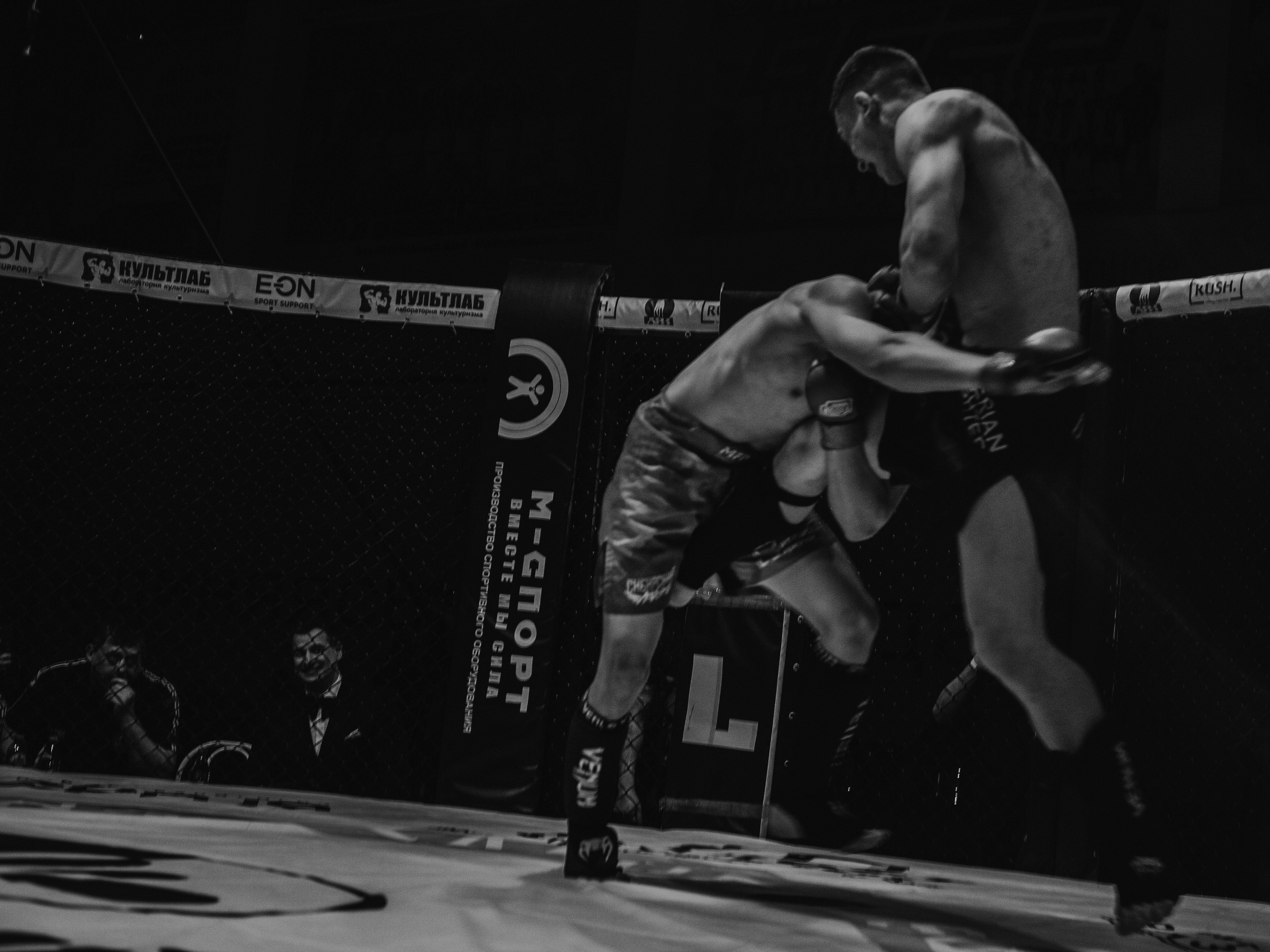 SFL 17 | Siberian Fighting League. Портретный фотограф в Москве Дарья Цезария