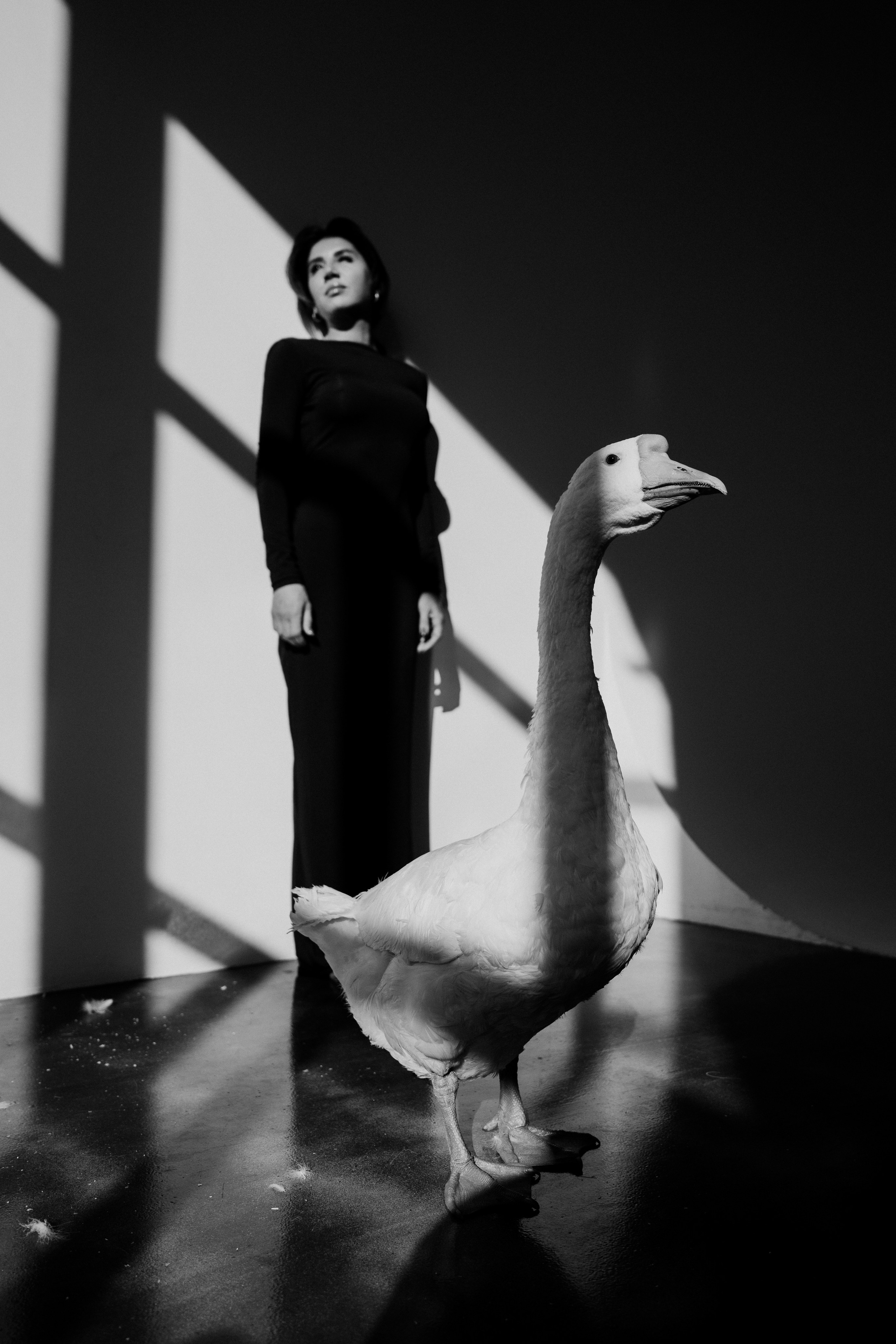 Юля и Гусь. Фотограф на мероприятие