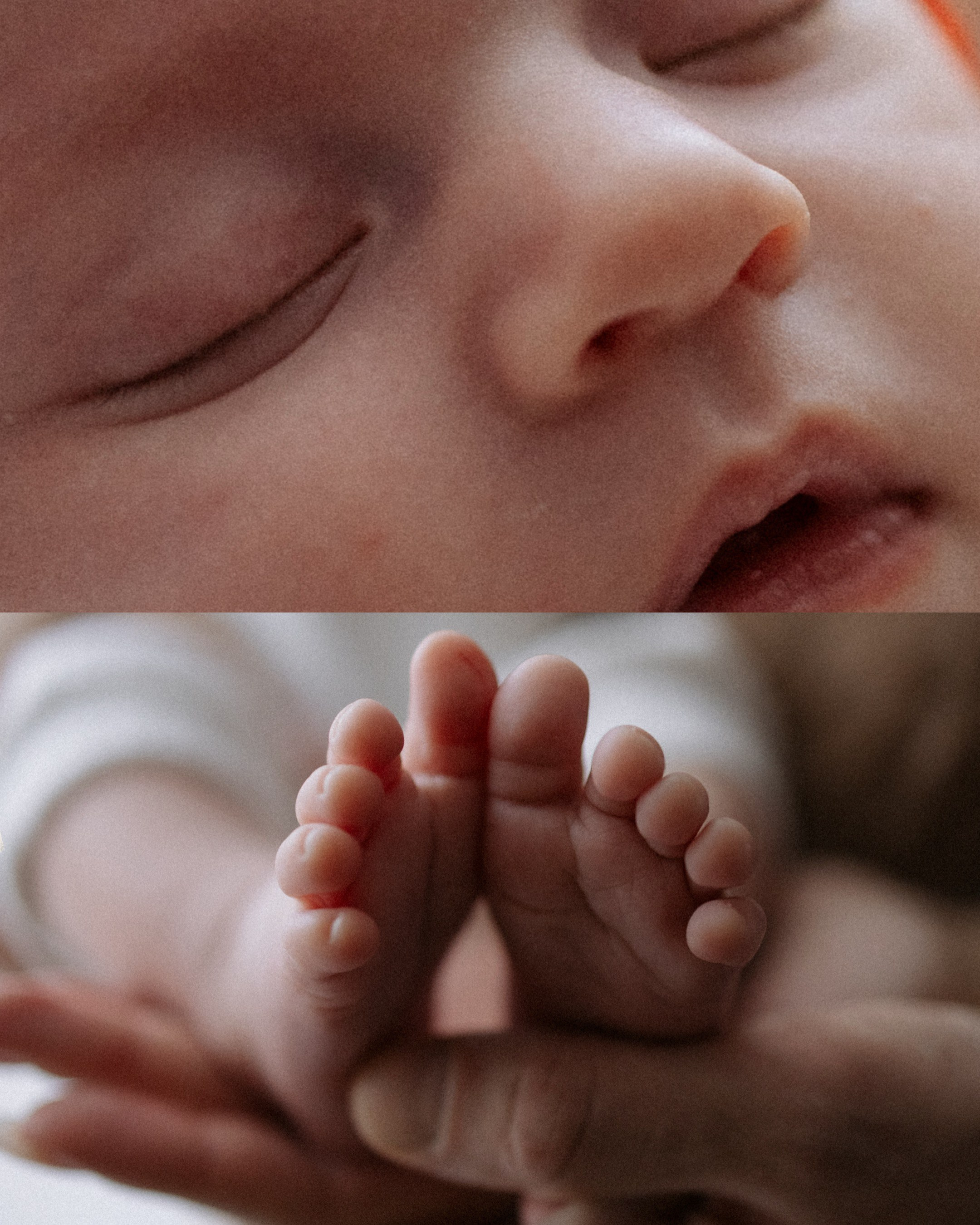 Новорожденные. Смирнова Алена Фотограф Екатеринбург