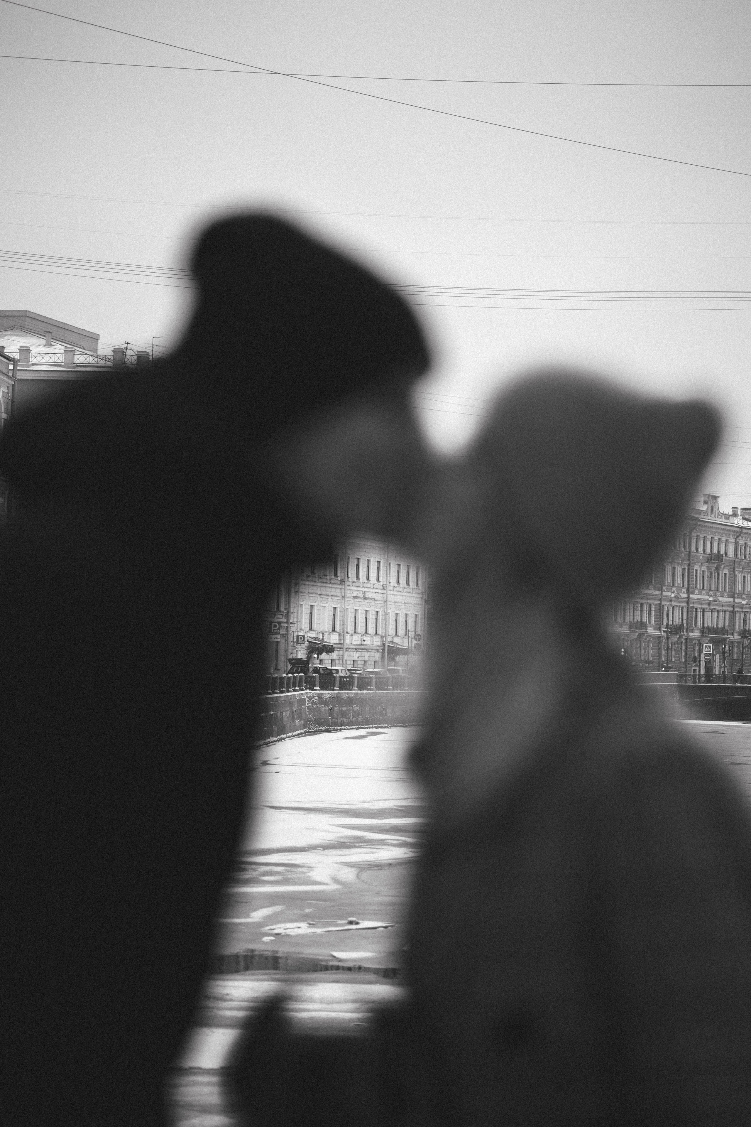 Саша, Света и Ицар. Фотограф-анималист в Санкт-Петербурге Алина Яхонт