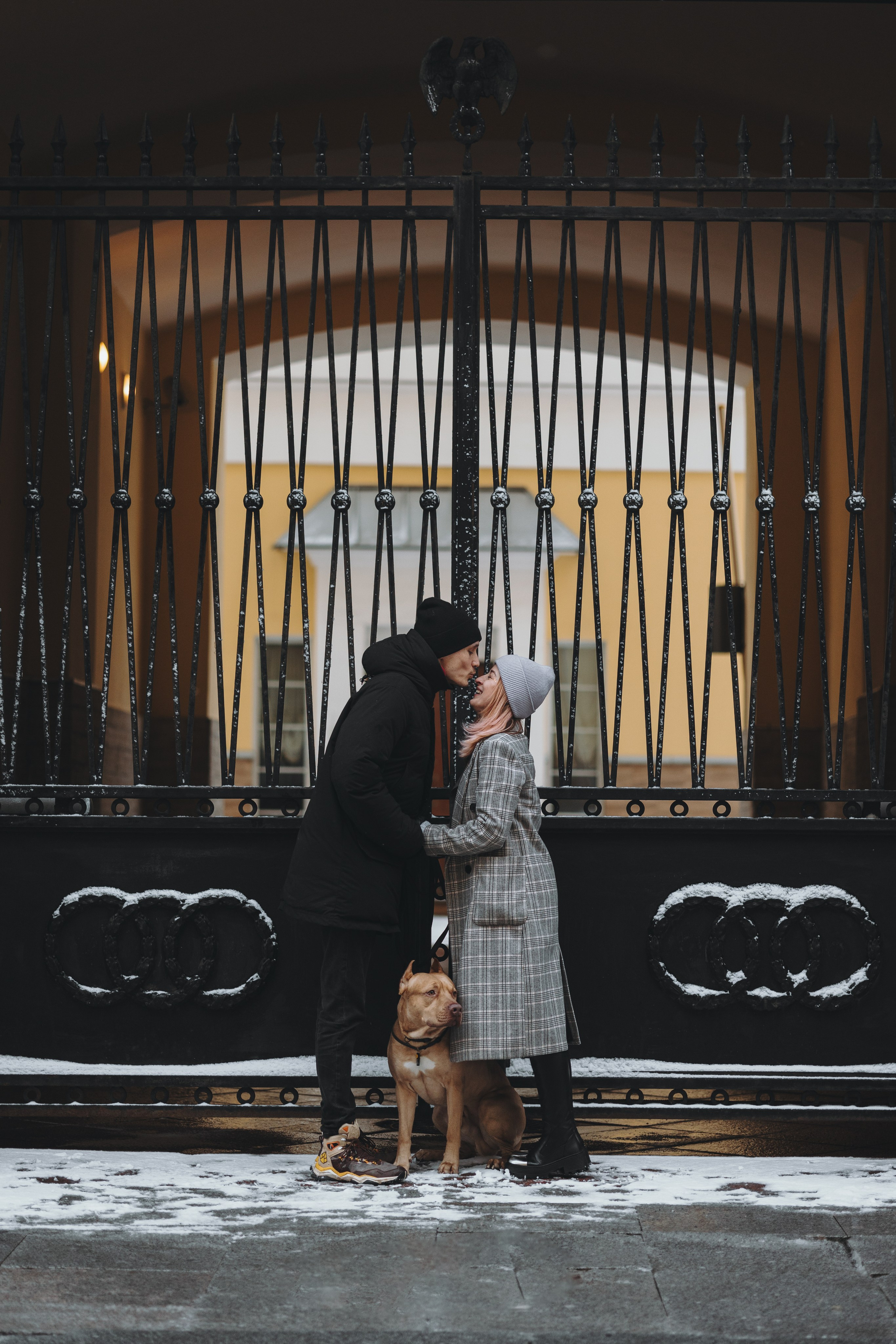 Саша, Света и Ицар. Фотограф-анималист в Санкт-Петербурге Алина Яхонт