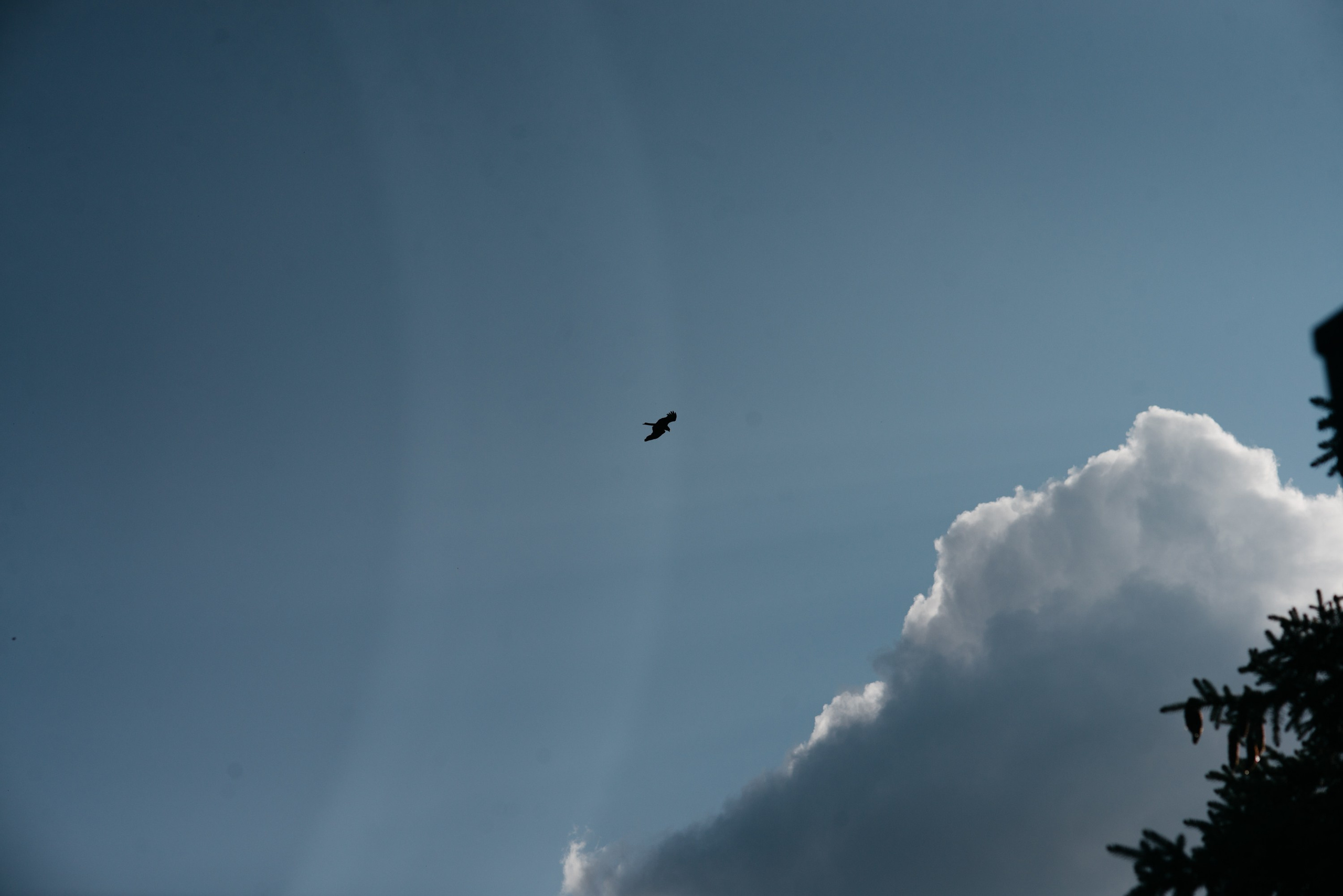Татьяна&Илья. Свадебный фотограф Ижевск Петр Шишков