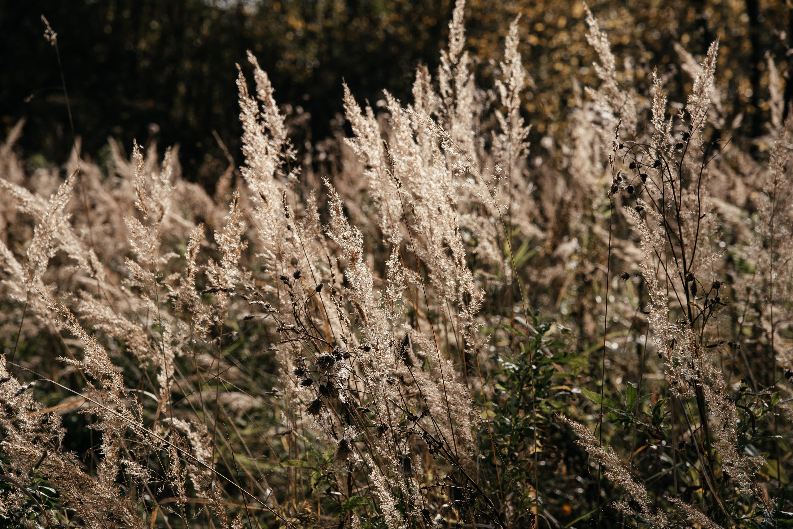 Love story. Портретный и семейный фотограф в Геленджике Таня Ходова