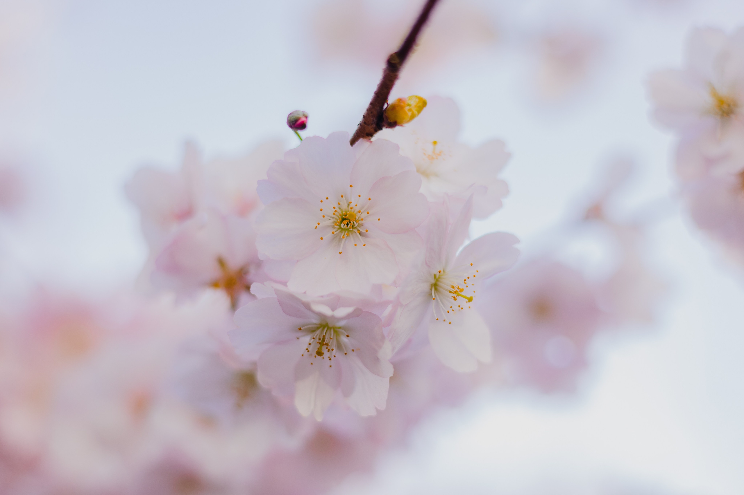 Коллекция пейзажных фотографий. Photographer Sonkina Tatiana (Tanya Ash)