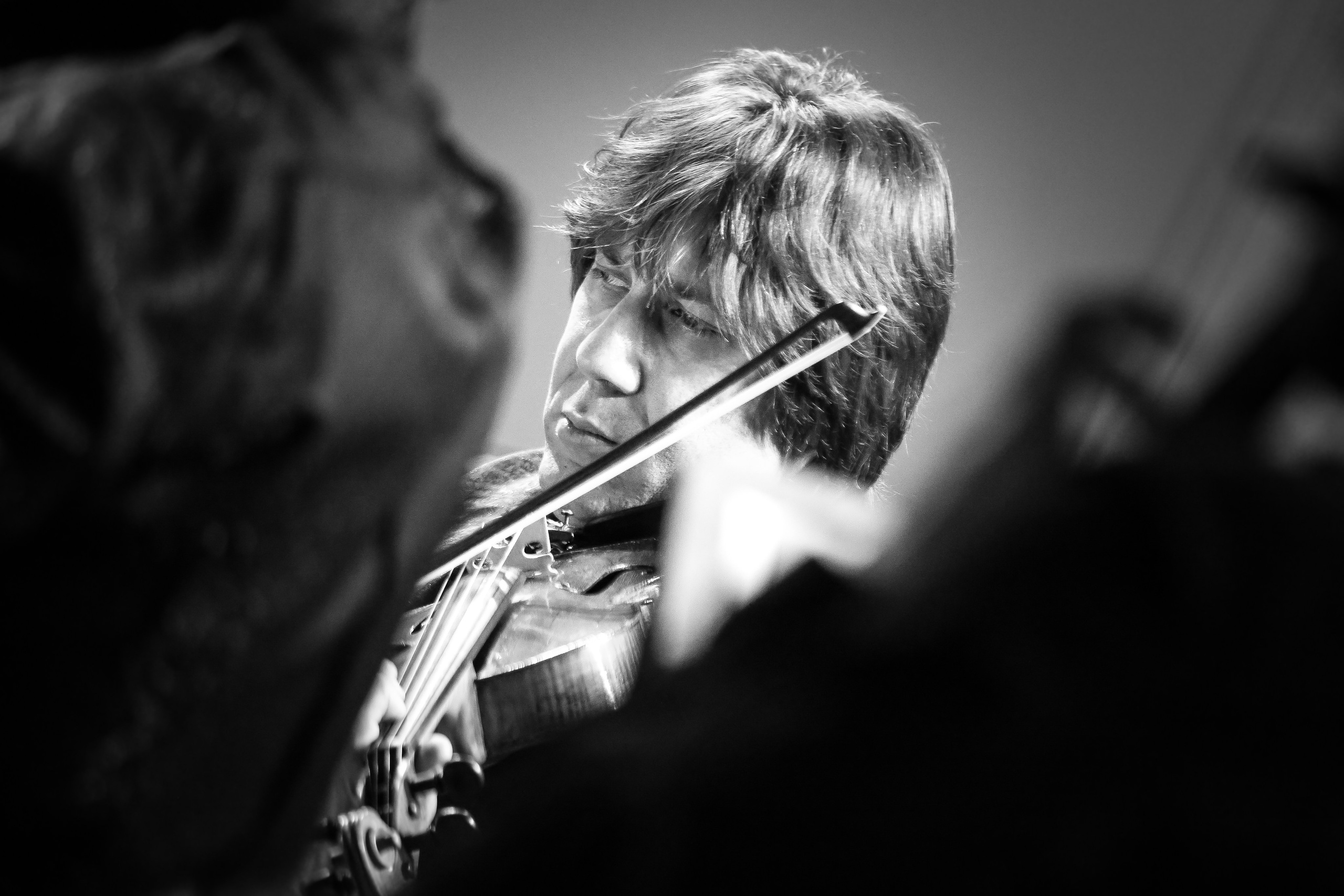 Концерт с Квартетом им. Бородина. Дарья Письменюк / Darya Leitstern — фотограф, музыкант, журналист, путешественник