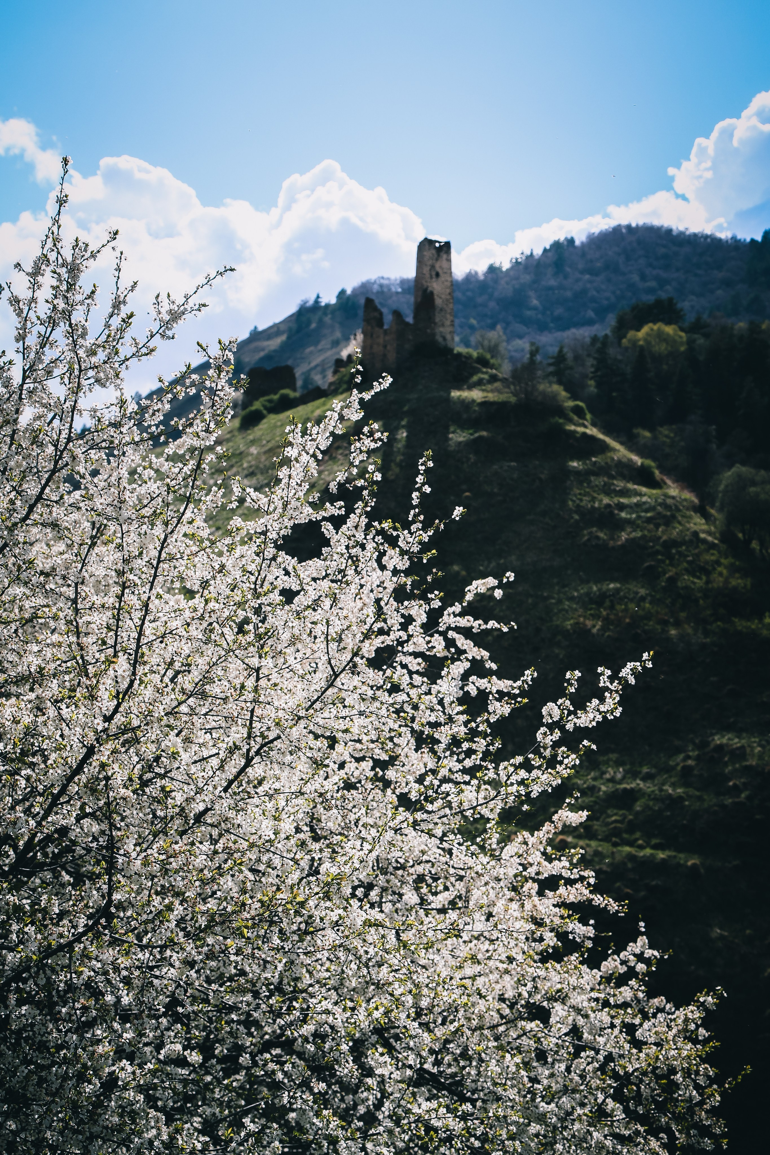 Кавказ: Ингушетия — страна башен. Дарья Письменюк / Darya Leitstern — фотограф, музыкант, журналист, путешественник
