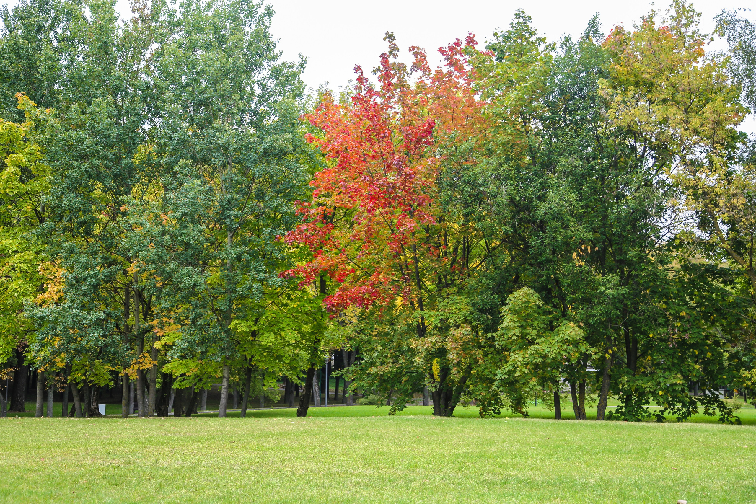 Минск. Дарья Письменюк / Darya Leitstern — фотограф, музыкант, журналист, путешественник