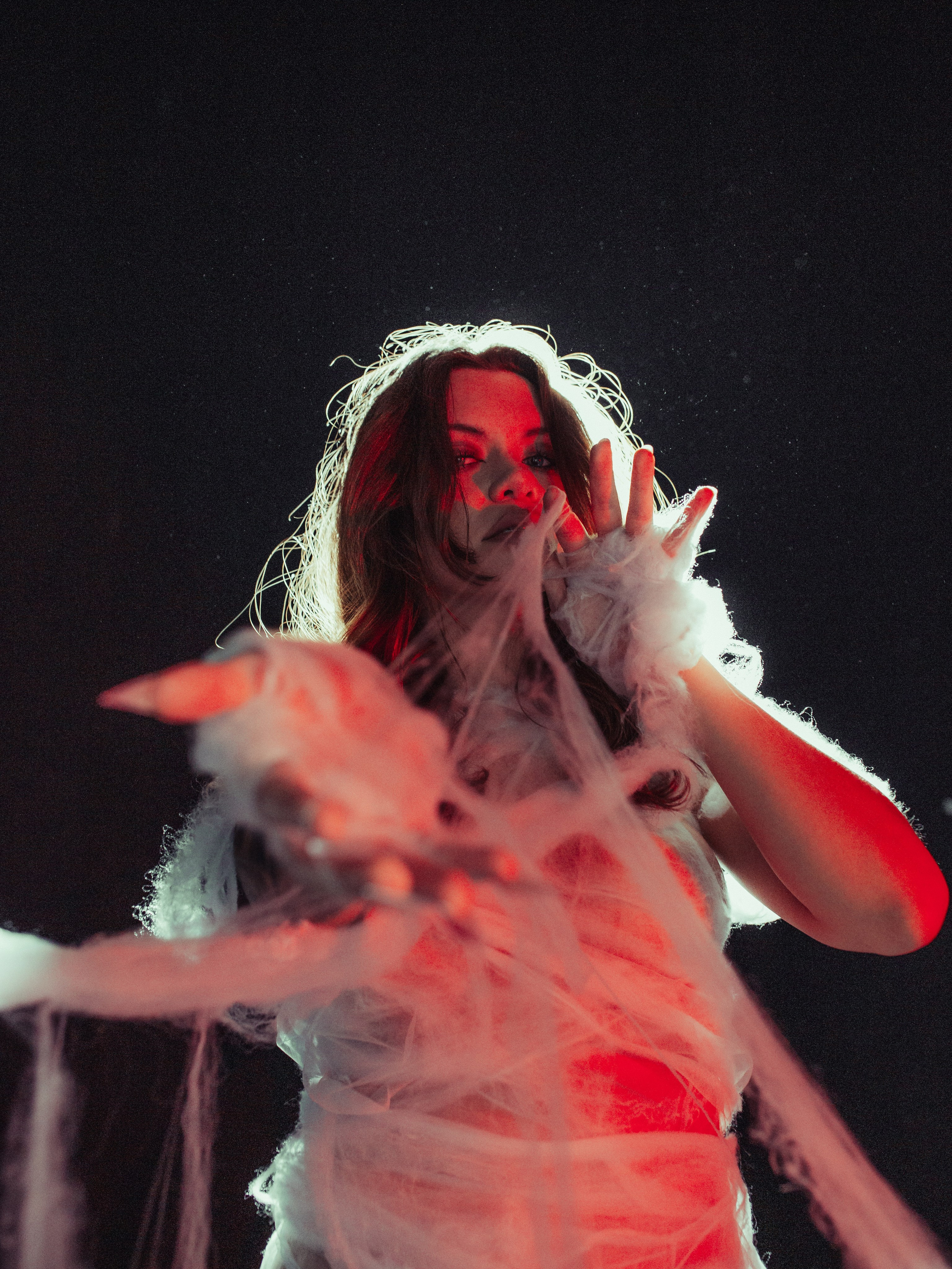 Diibae spider. Фотограф из Санкт-Петербурга Валерия Ленских