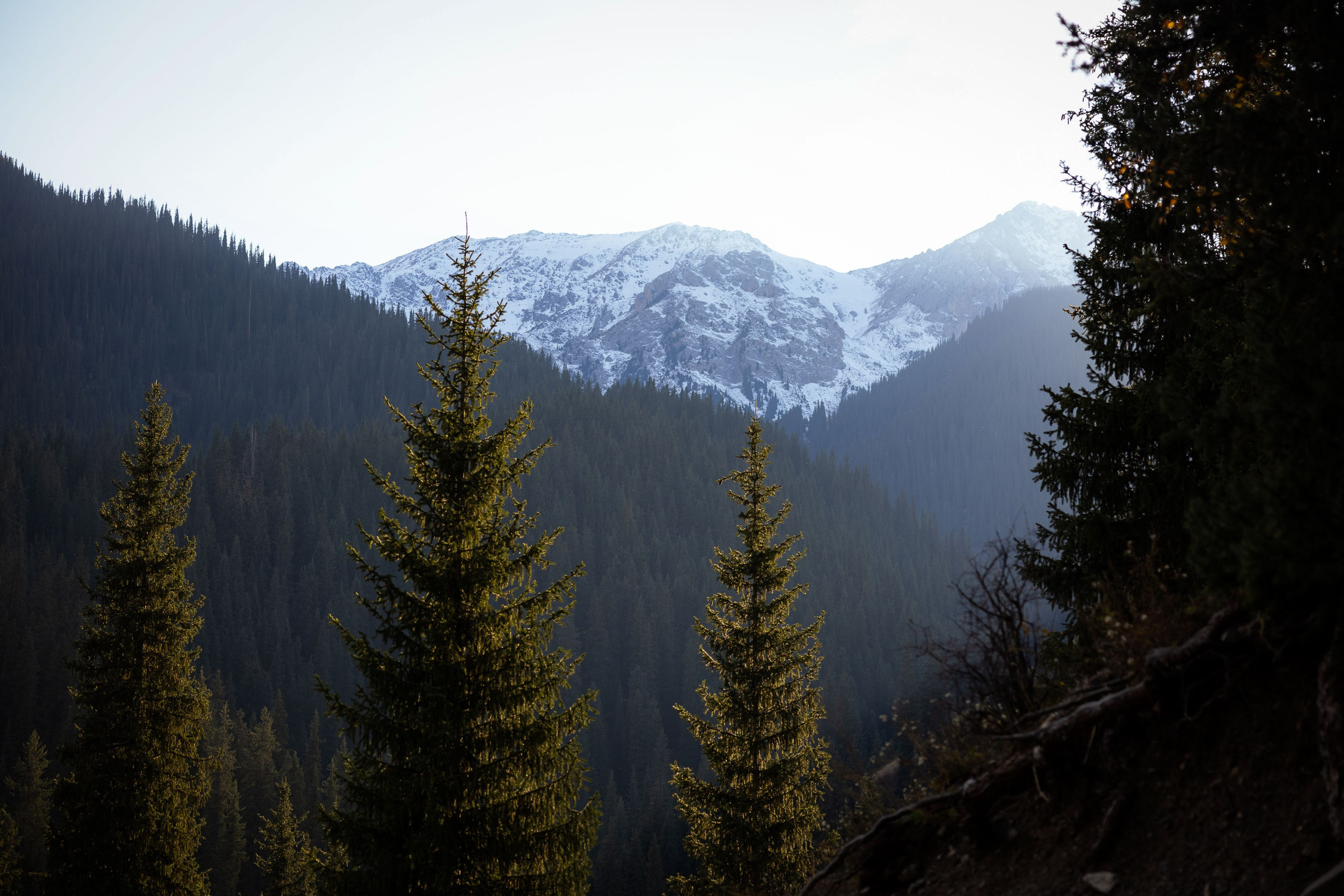 Казахстан (осень 2024). Фотограф Виноградов Константин