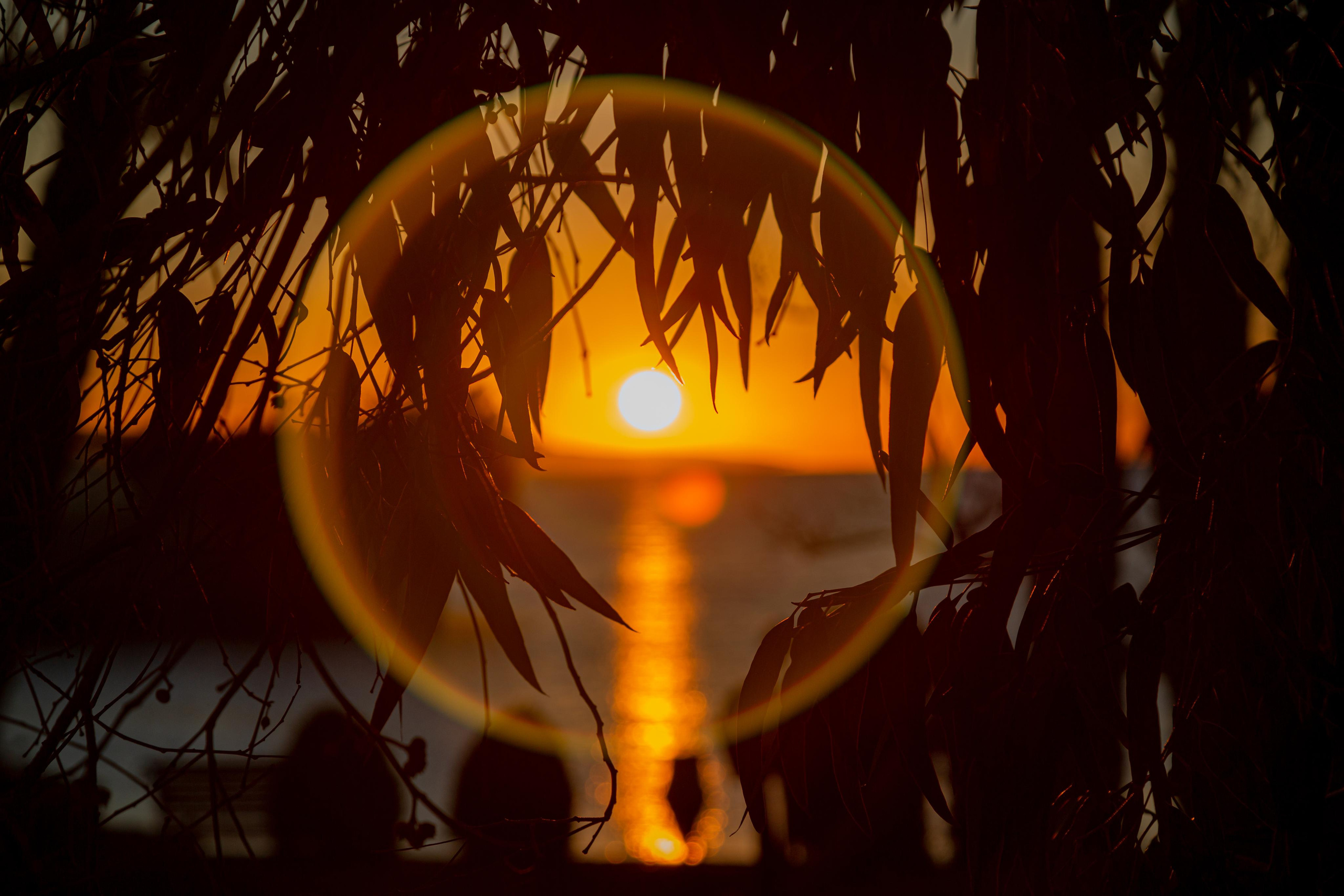 Хургада. Photographer Sonkina Tatiana (Tanya Ash)