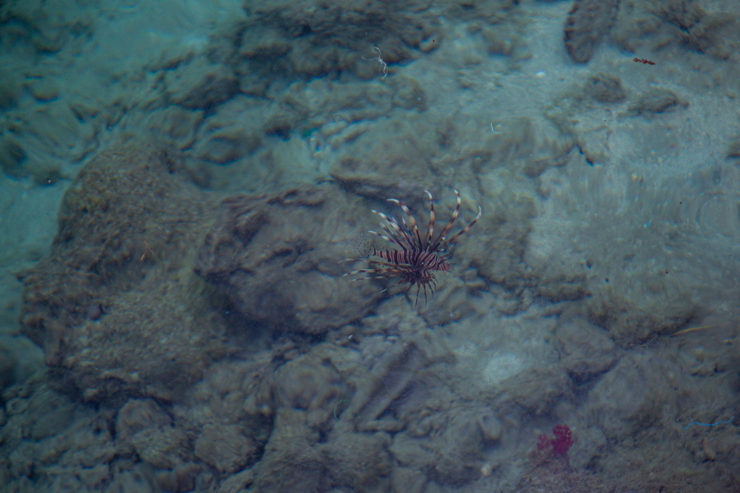 Хургада. Photographer Sonkina Tatiana (Tanya Ash)