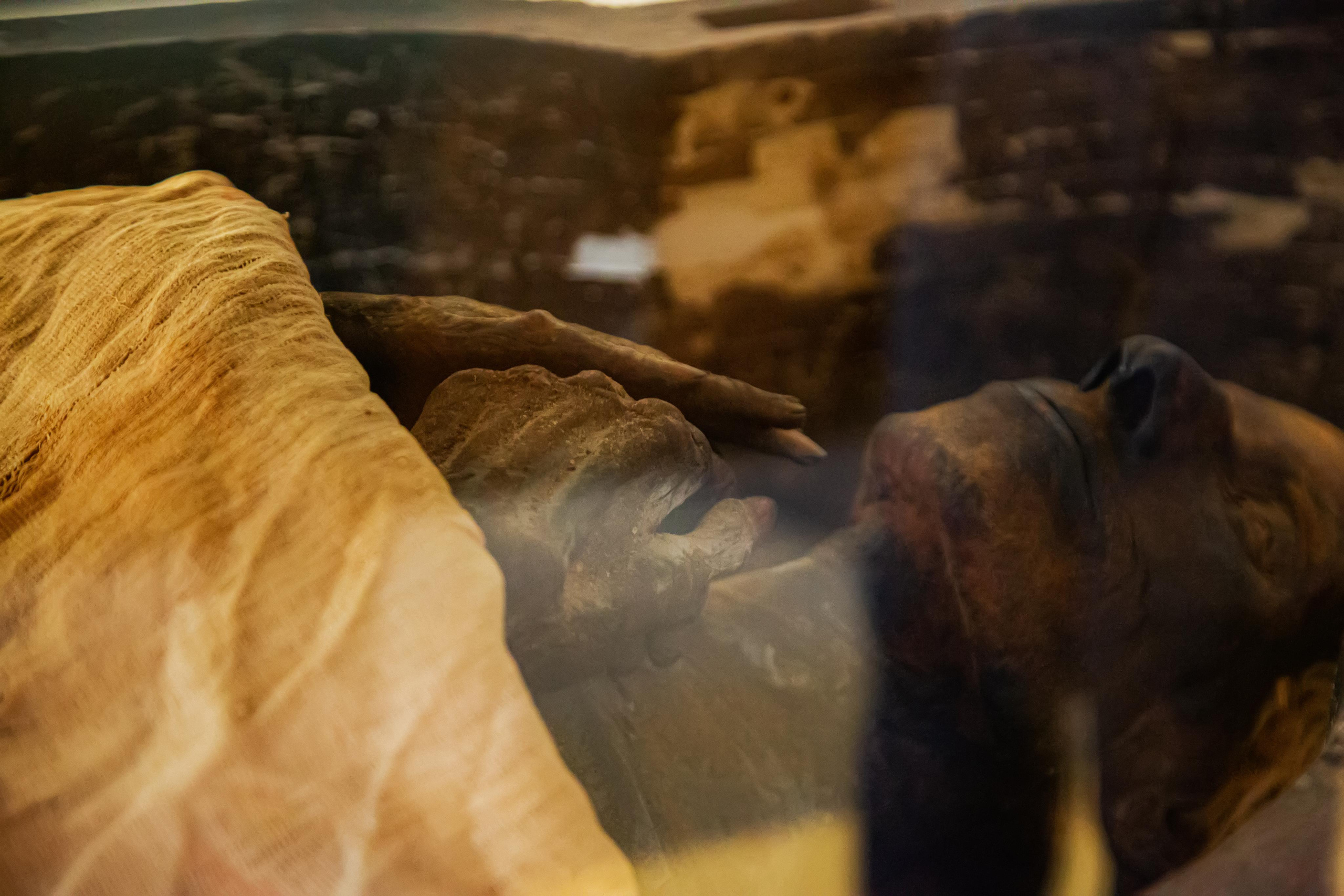 Каир. Photographer Sonkina Tatiana (Tanya Ash)