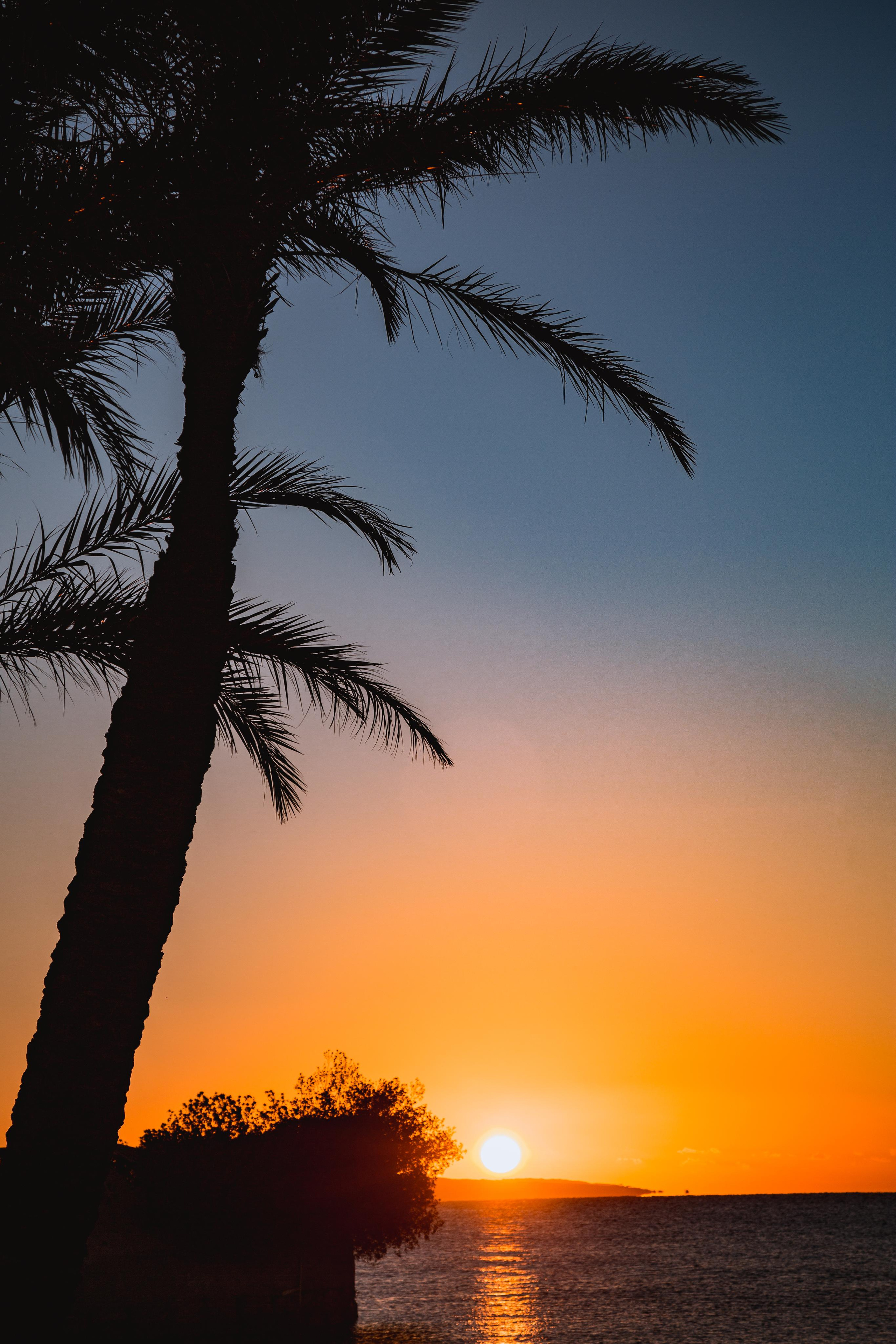 Хургада. Photographer Sonkina Tatiana (Tanya Ash)