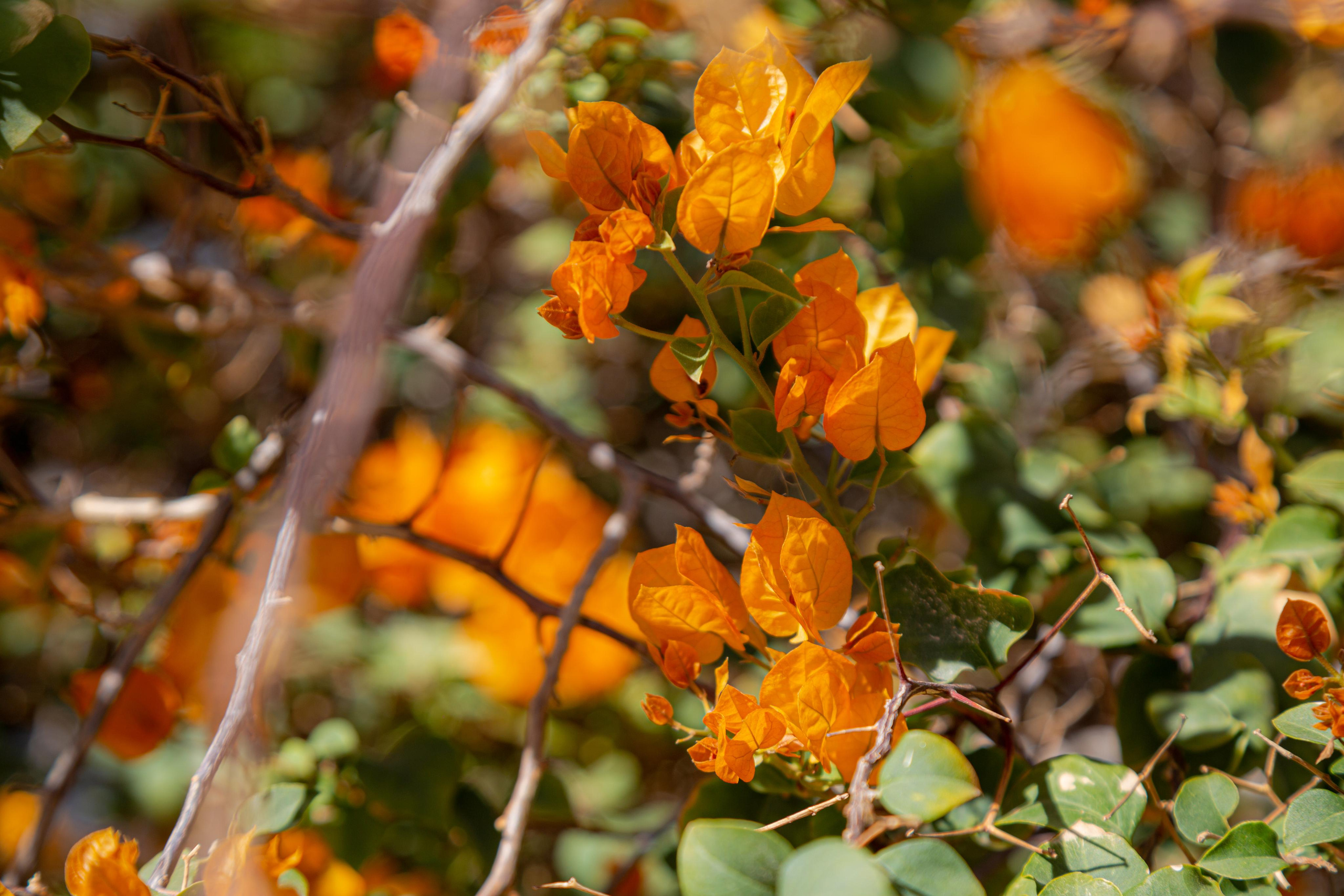 Хургада. Photographer Sonkina Tatiana (Tanya Ash)