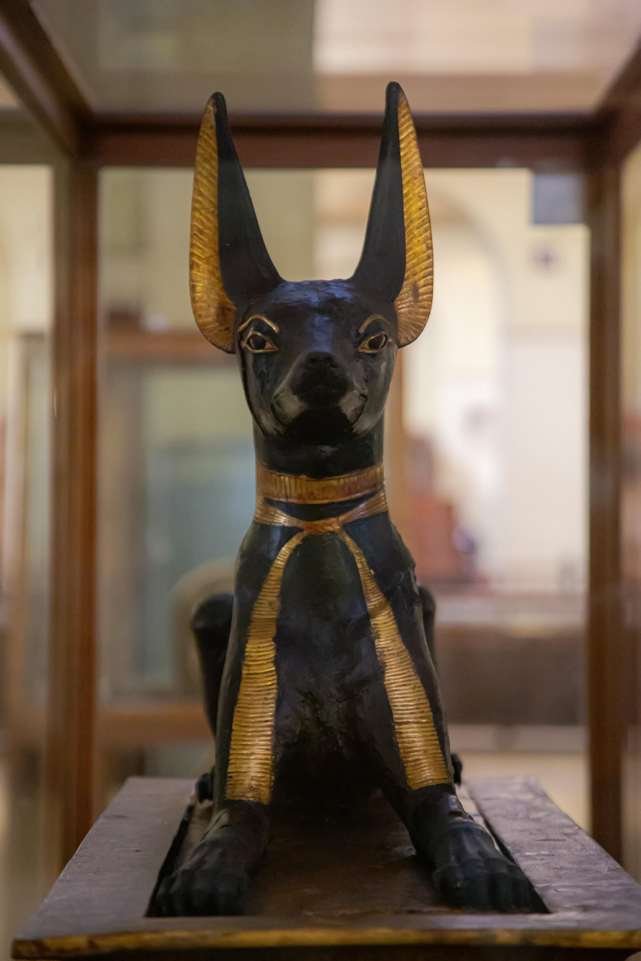 Каир. Photographer Sonkina Tatiana (Tanya Ash)