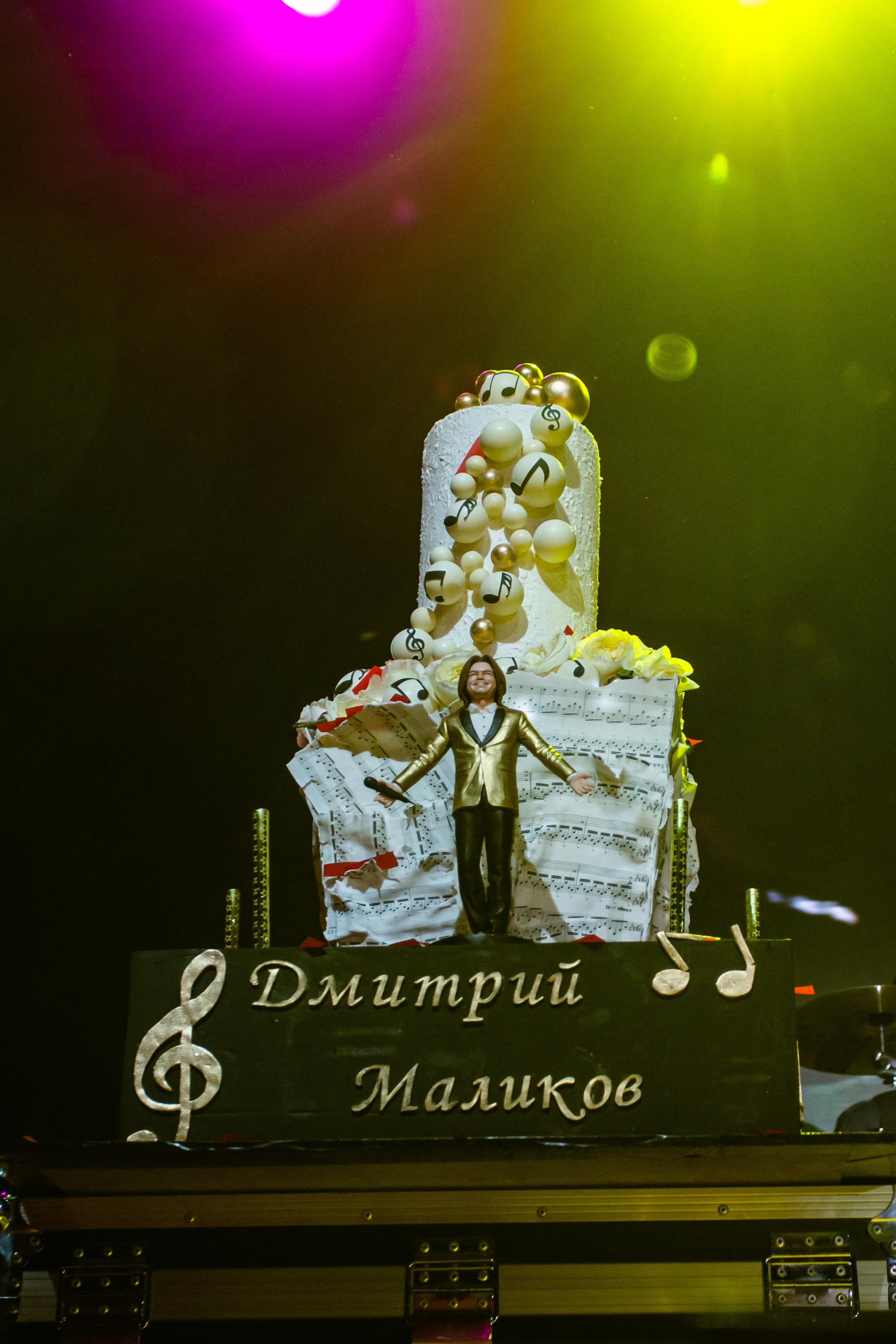 ДМИТРИЙ МАЛИКОВ. Photographer Sonkina Tatiana (Tanya Ash)