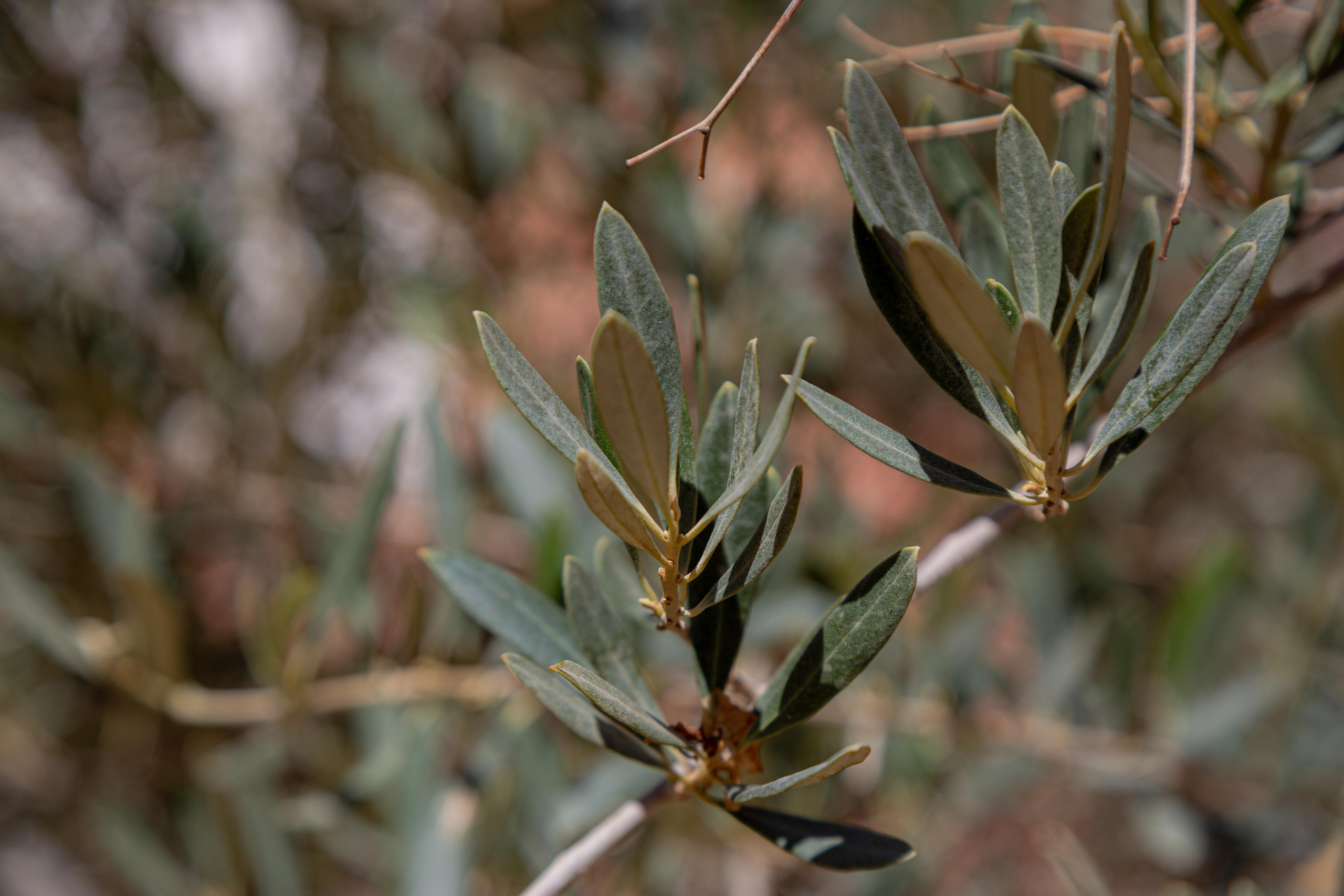 Хургада. Photographer Sonkina Tatiana (Tanya Ash)