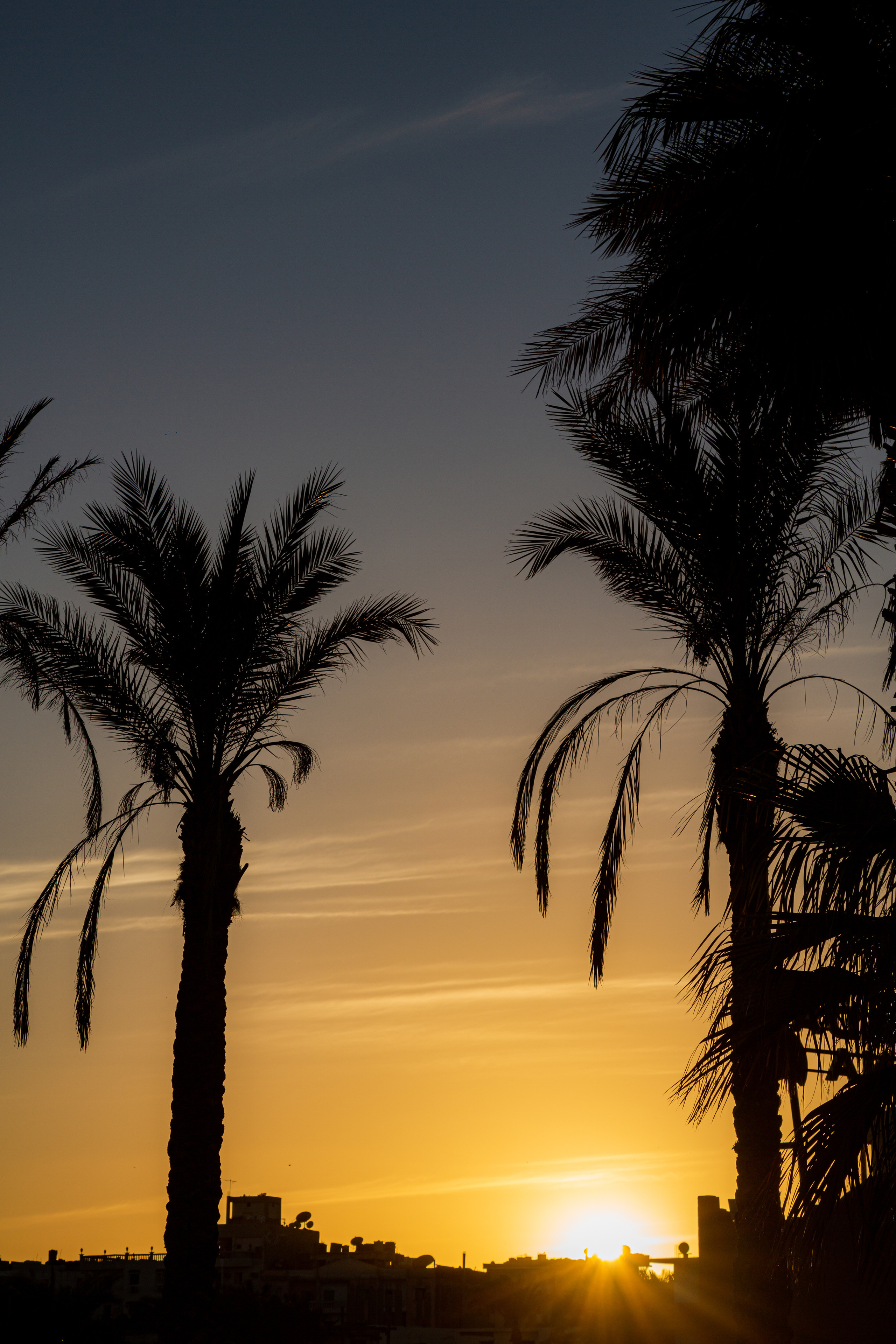 Хургада. Photographer Sonkina Tatiana (Tanya Ash)