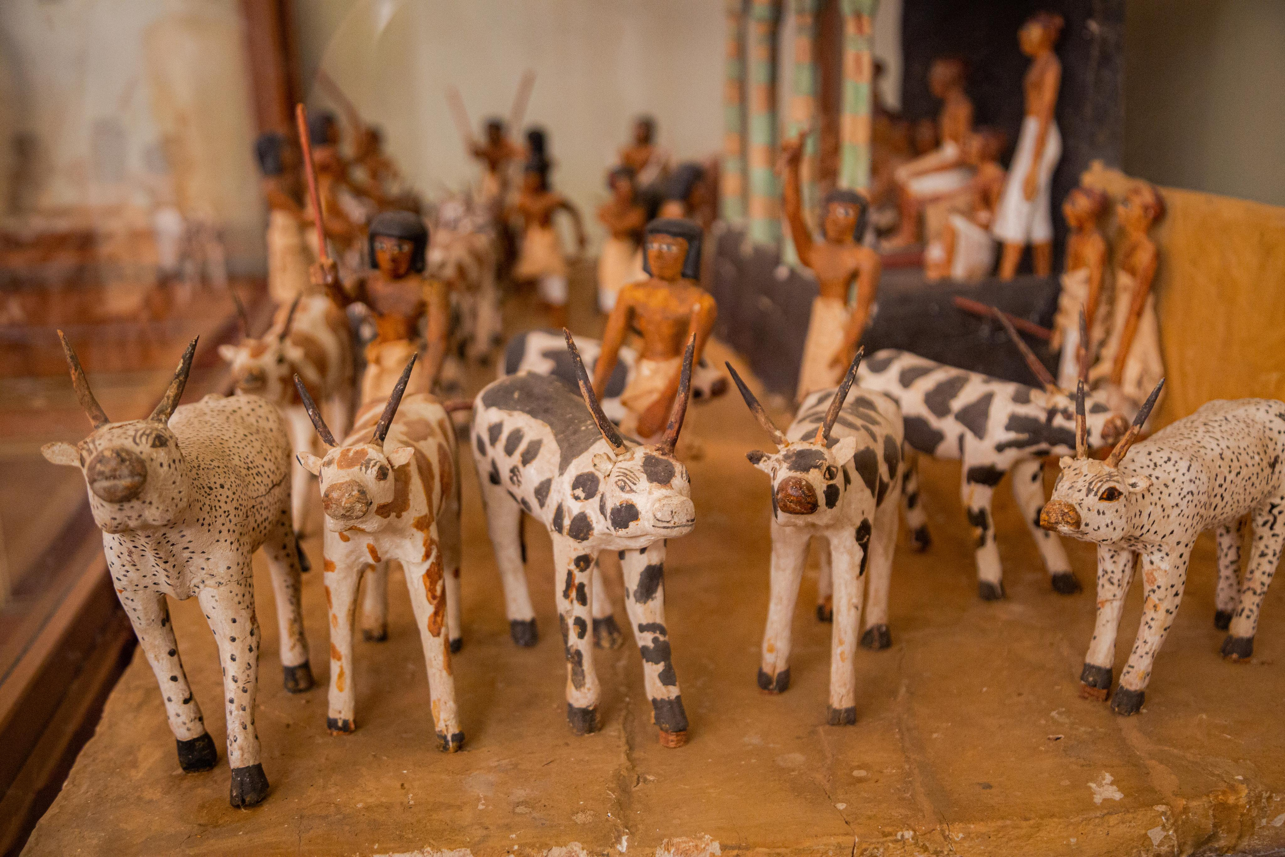 Каир. Photographer Sonkina Tatiana (Tanya Ash)