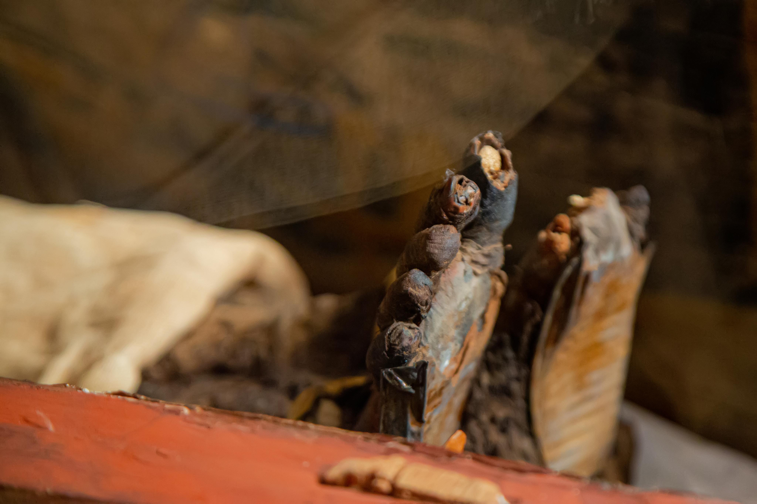 Каир. Photographer Sonkina Tatiana (Tanya Ash)