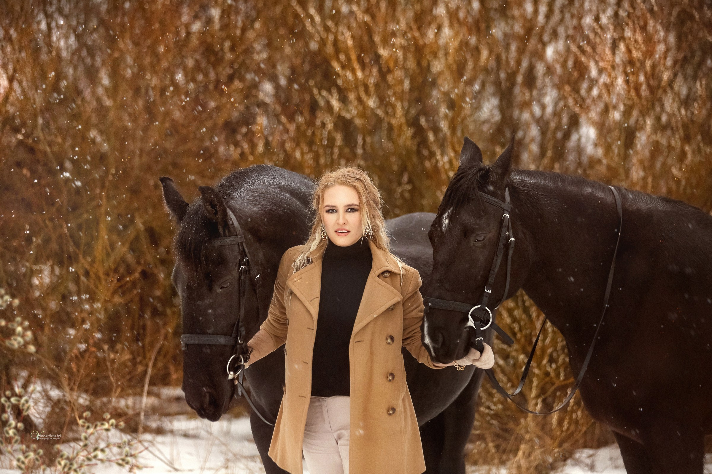 Фотосессии с лошадьми зимой. Фотограф женский и мужской портрет Санкт-Петербург