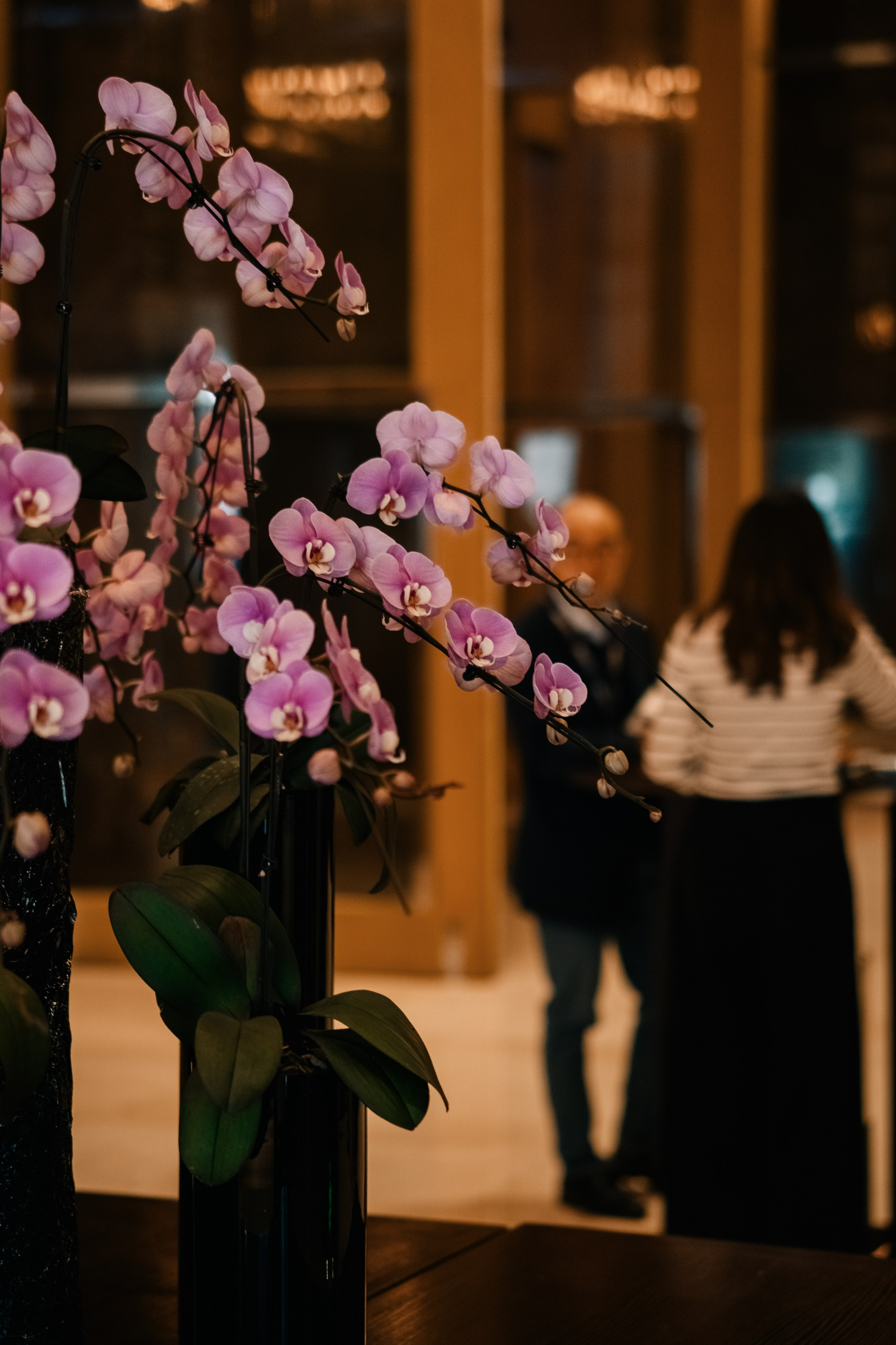 Репортажная съемка на конференции Legal 500 China Summit в Китае. Фотограф в Китае