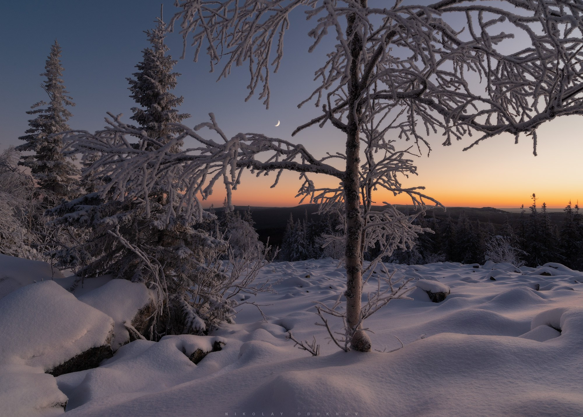 Сумерки сменяют день в зимнем лесу, открывая красоту горы Белая.