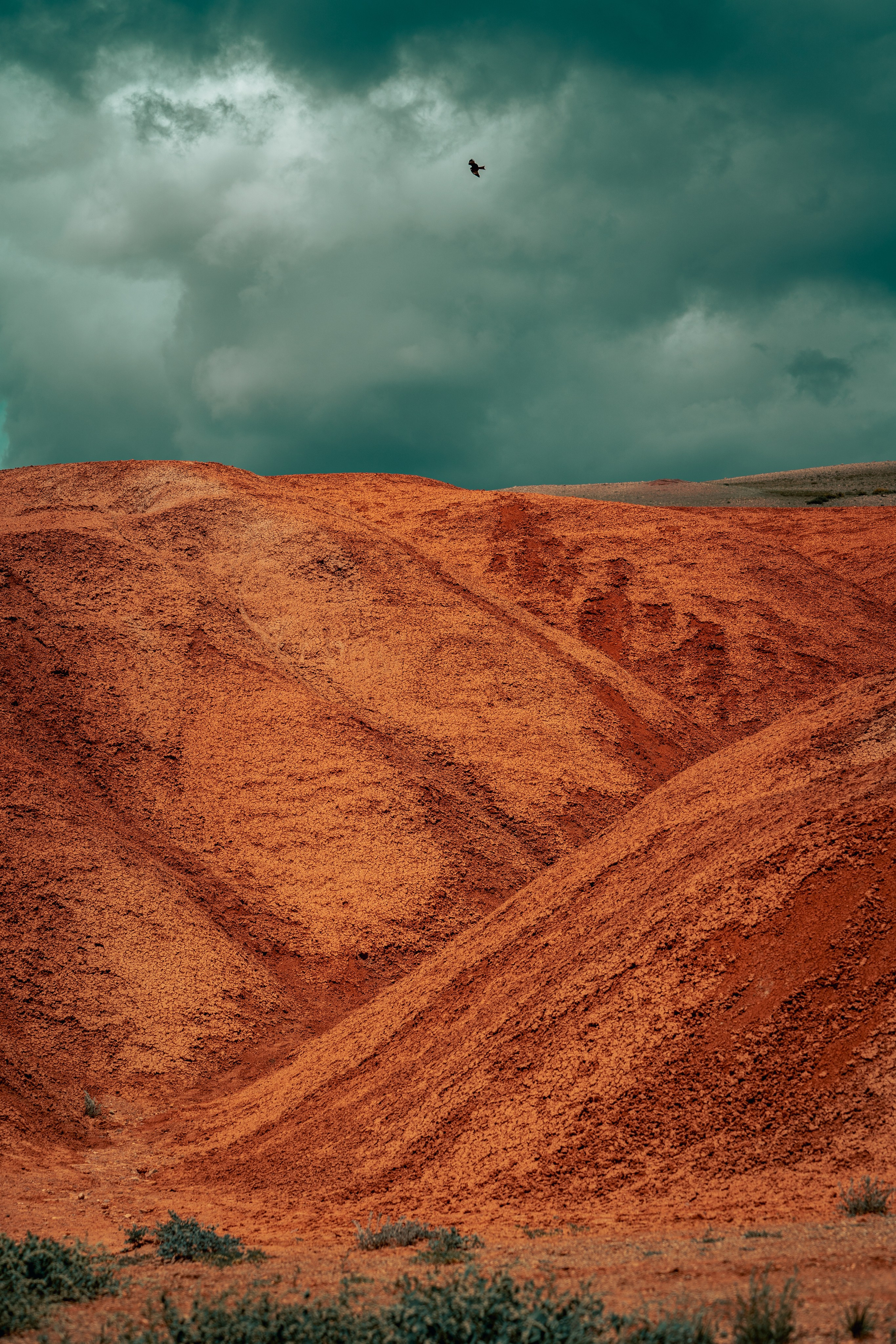 Алтай. Оператор и Фотограф в Санкт-Петербурге и Москве